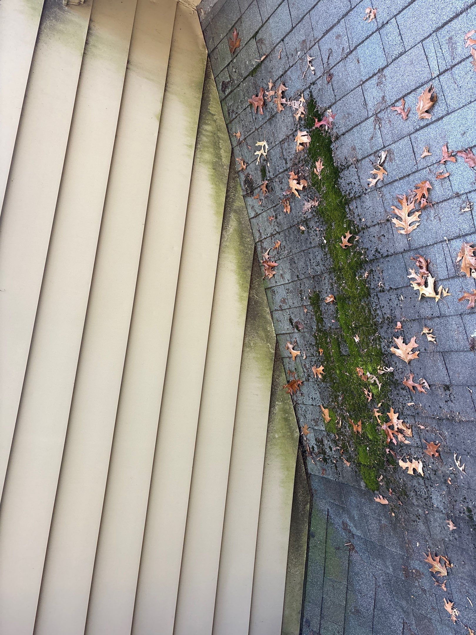 Roof Replacement using Owens Corning Slatestone Gray by 180 Contractors