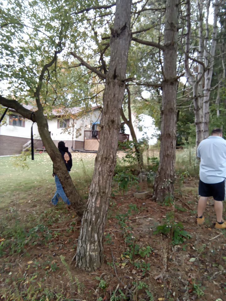 Tree Removal using Tree Removal by Mike Jones & Sons Tree Service LLC 