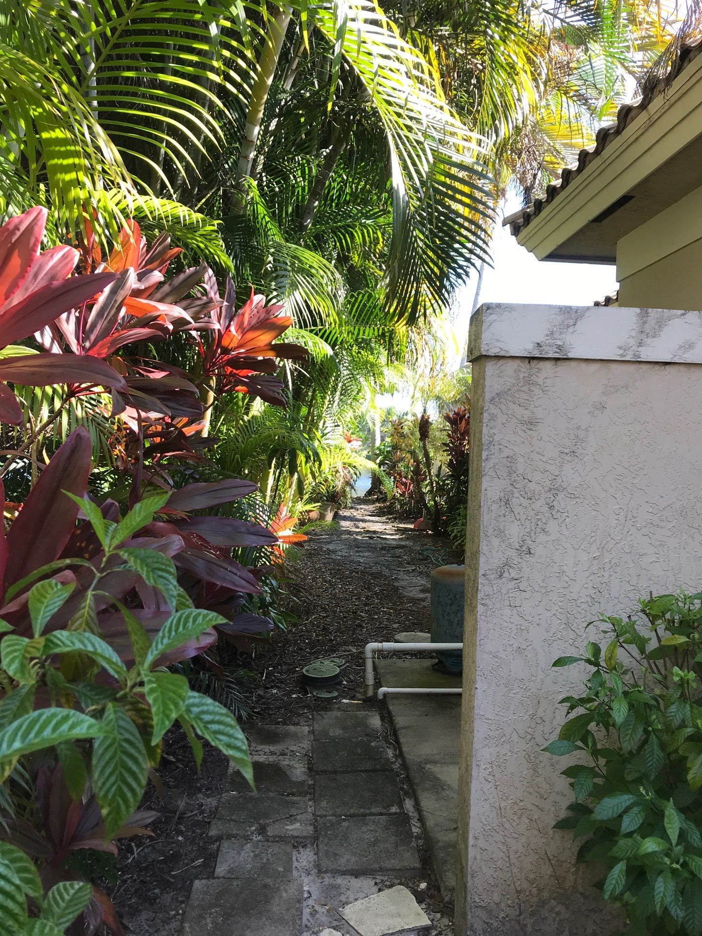 ✨ “Sweep, Spruce & Scoot!” ✨ by Alpha Zeta Enterprises Inc