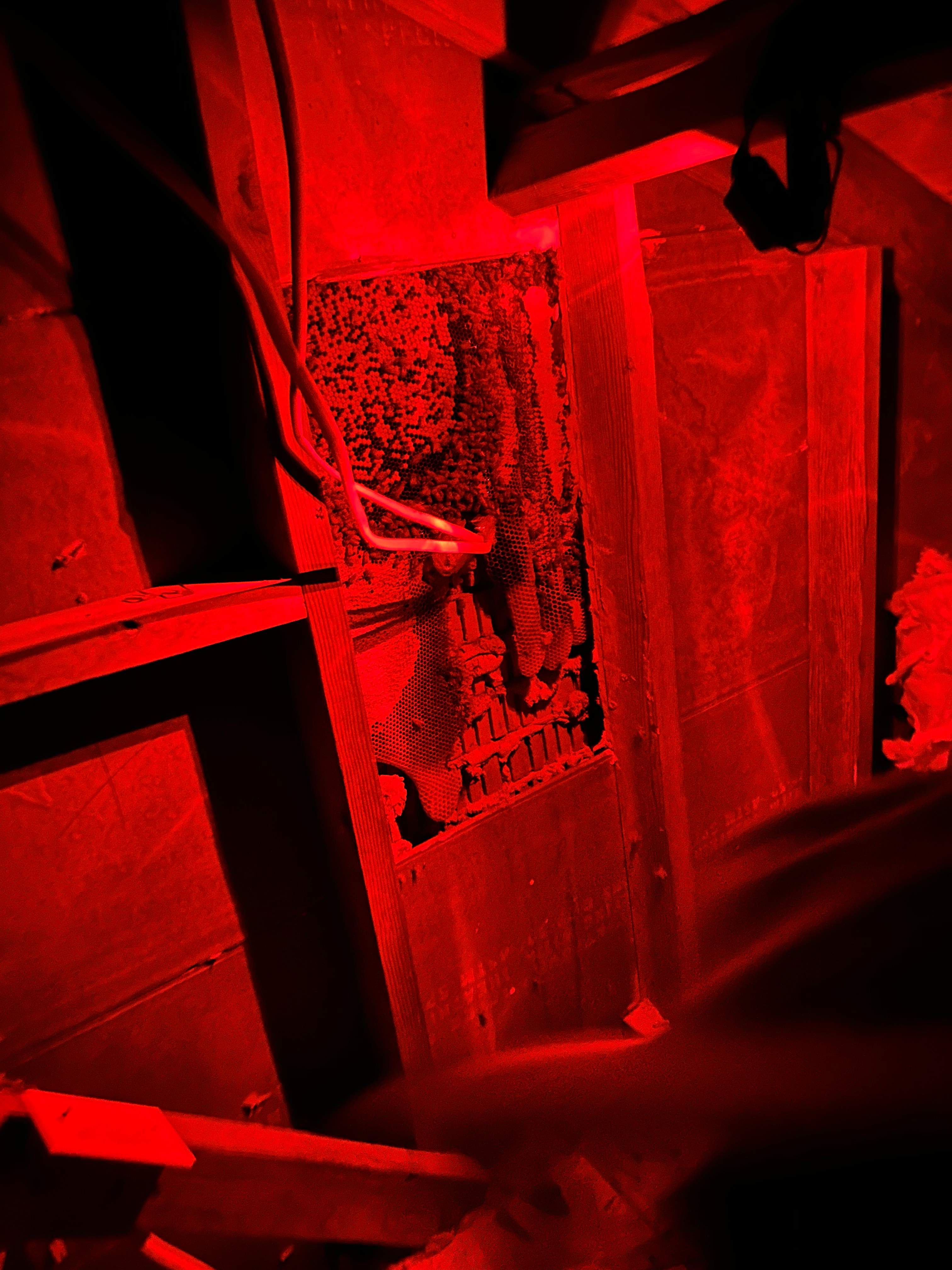 Red Light Attic by Rockwall Honey Bee Company