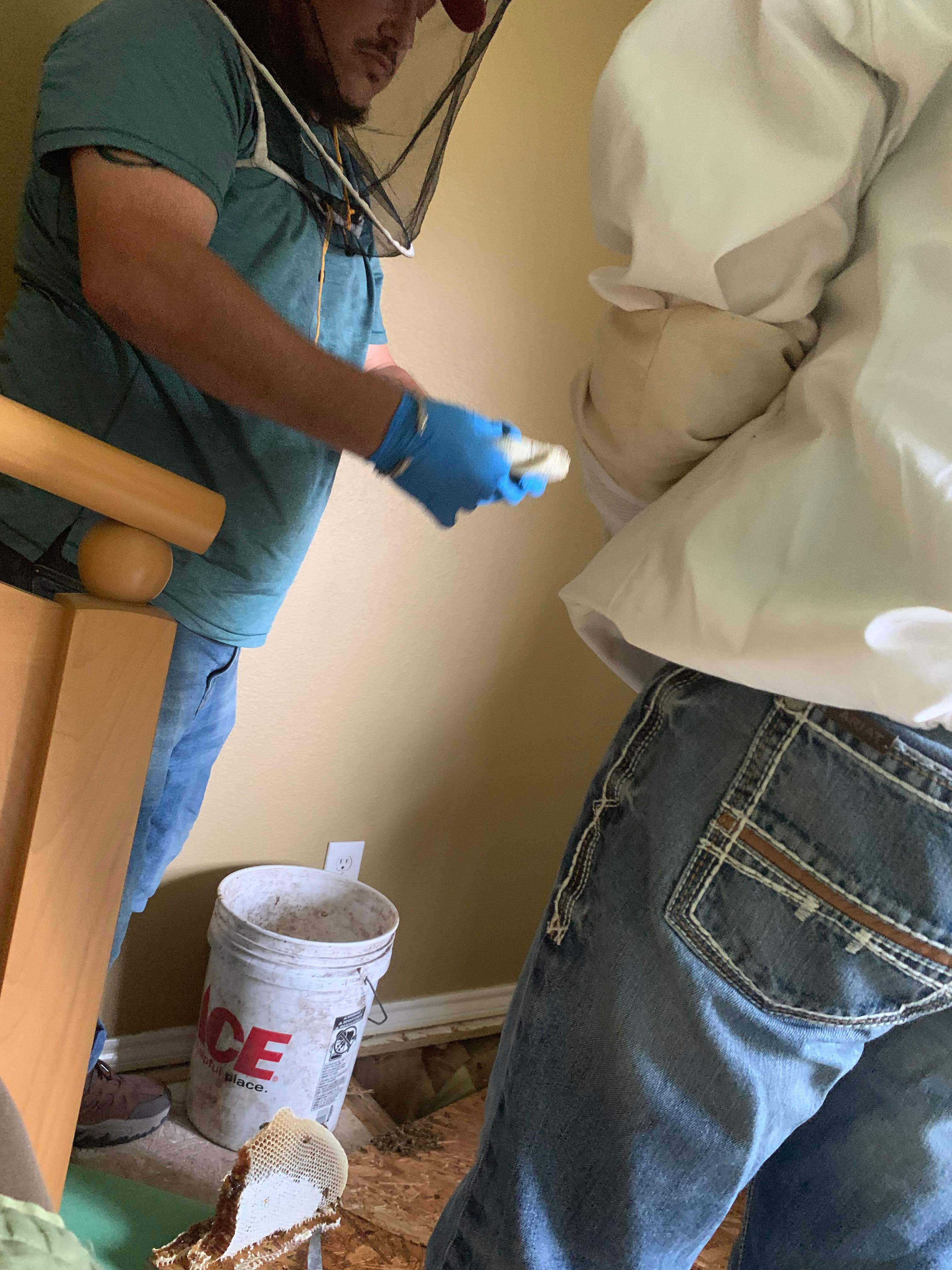 Beekeepers-to-be by Rockwall Honey Bee Company