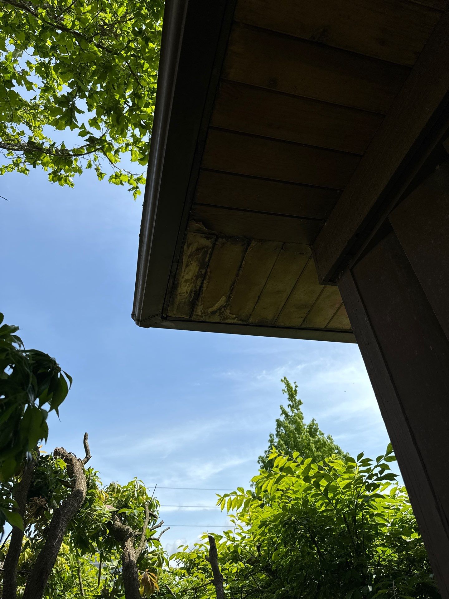 Project in Everett by Peaks and Valleys Construction