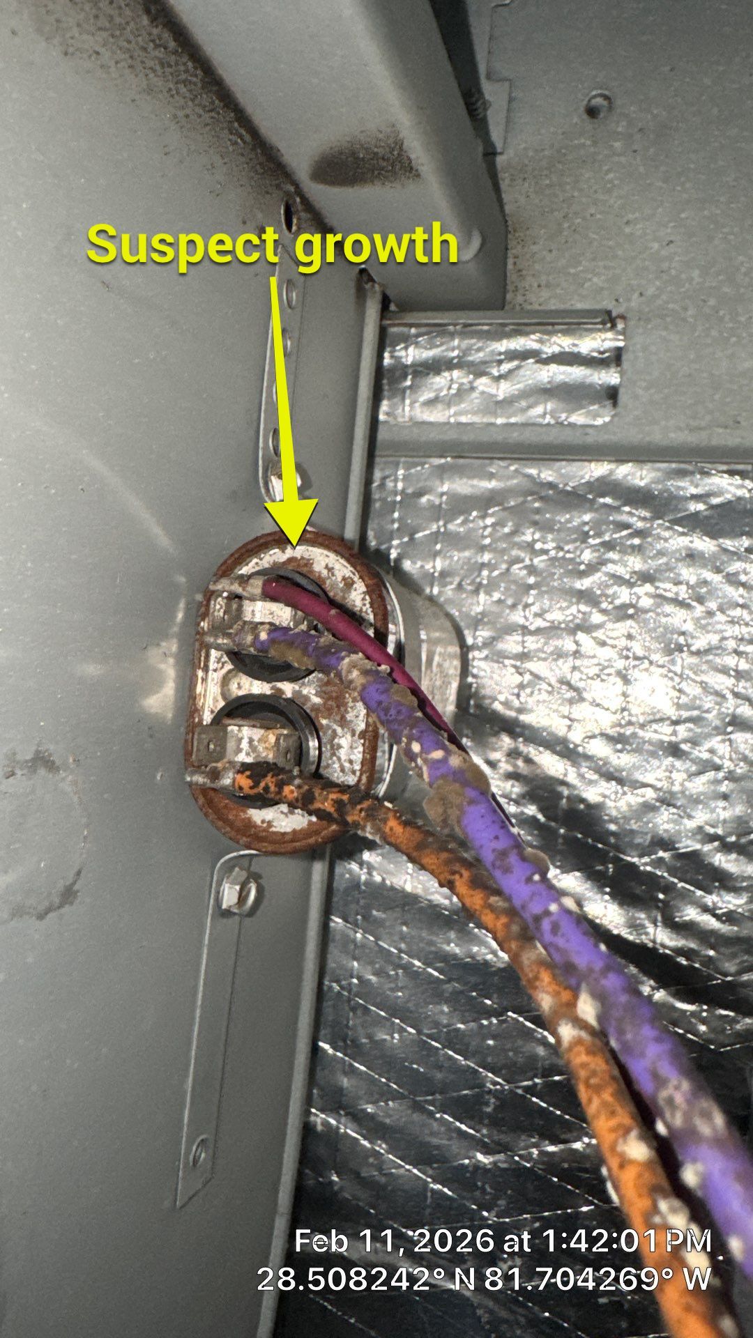 Air Duct Cleaning Dryer Vent Repair Sealed Plenum Clermont by Hygienic Air, Inc