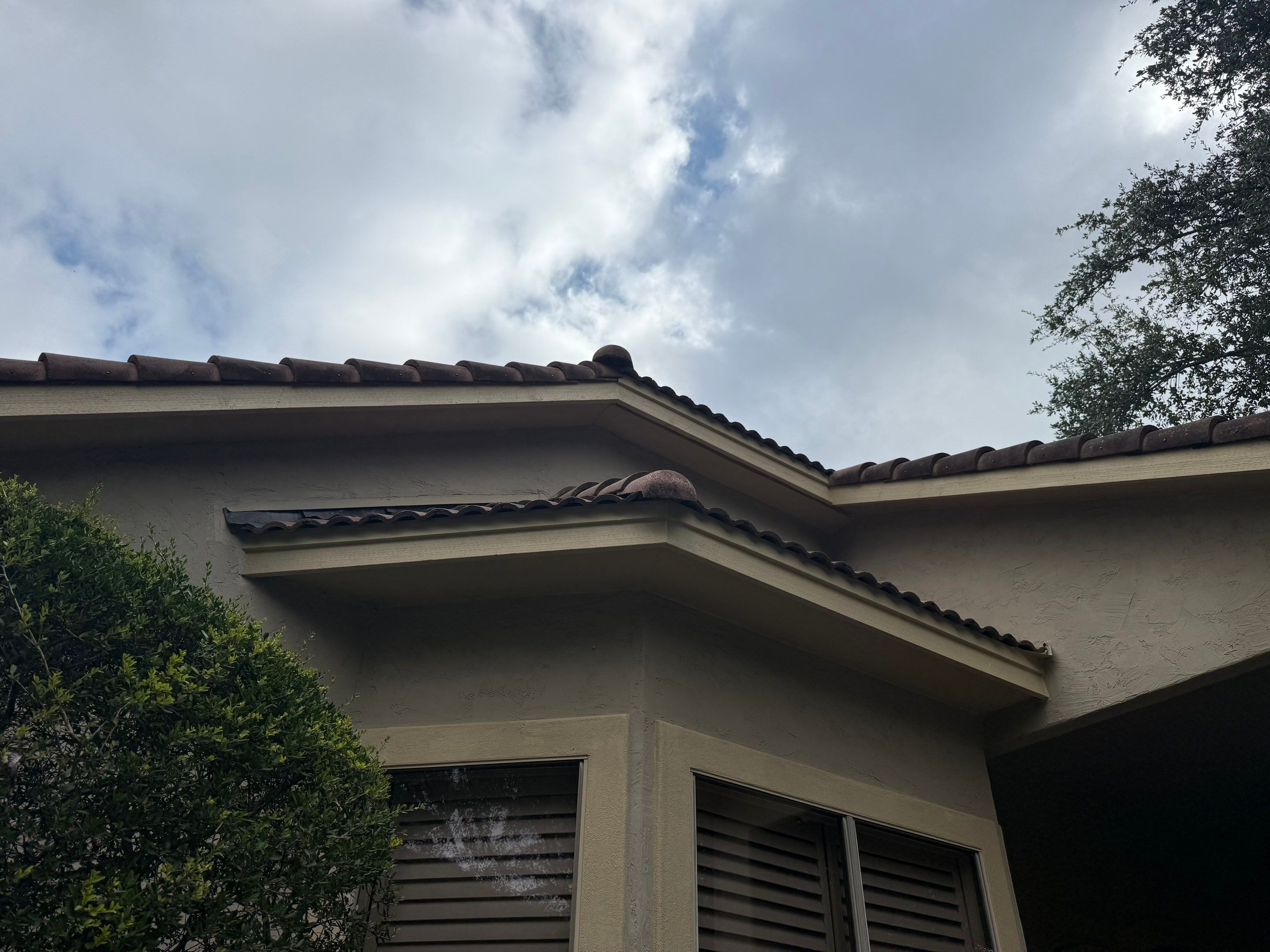 Fascia Carpentry Repair and Paint  by Rox Roofing