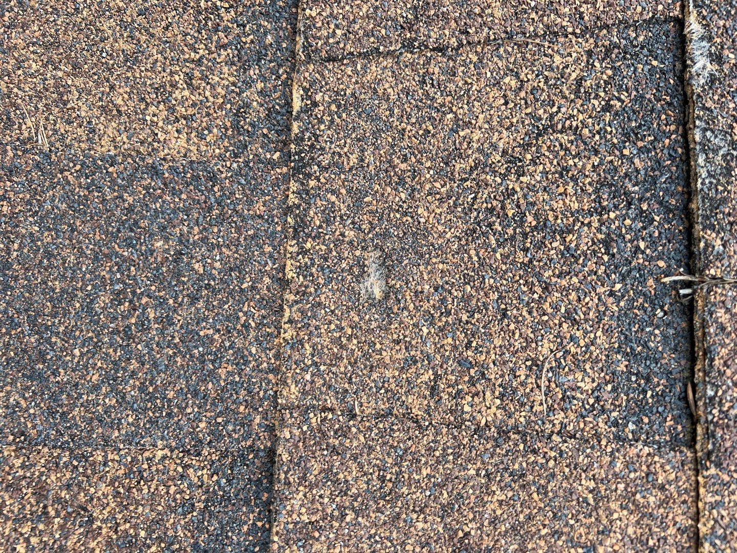 GAF Timberline HDZ - Hunter Green by Montana Roofing Solutions