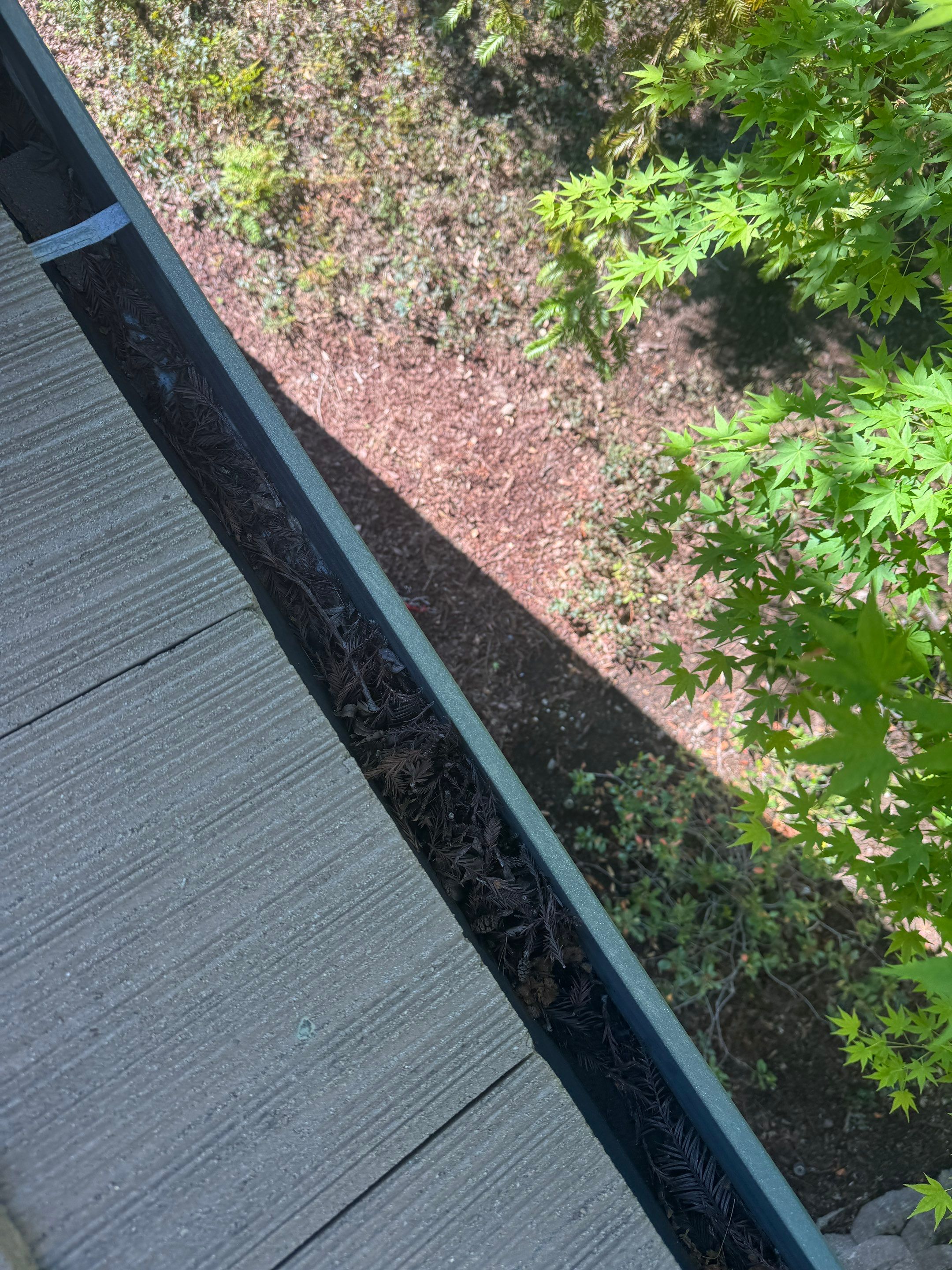 HOA gutter cleaning before
