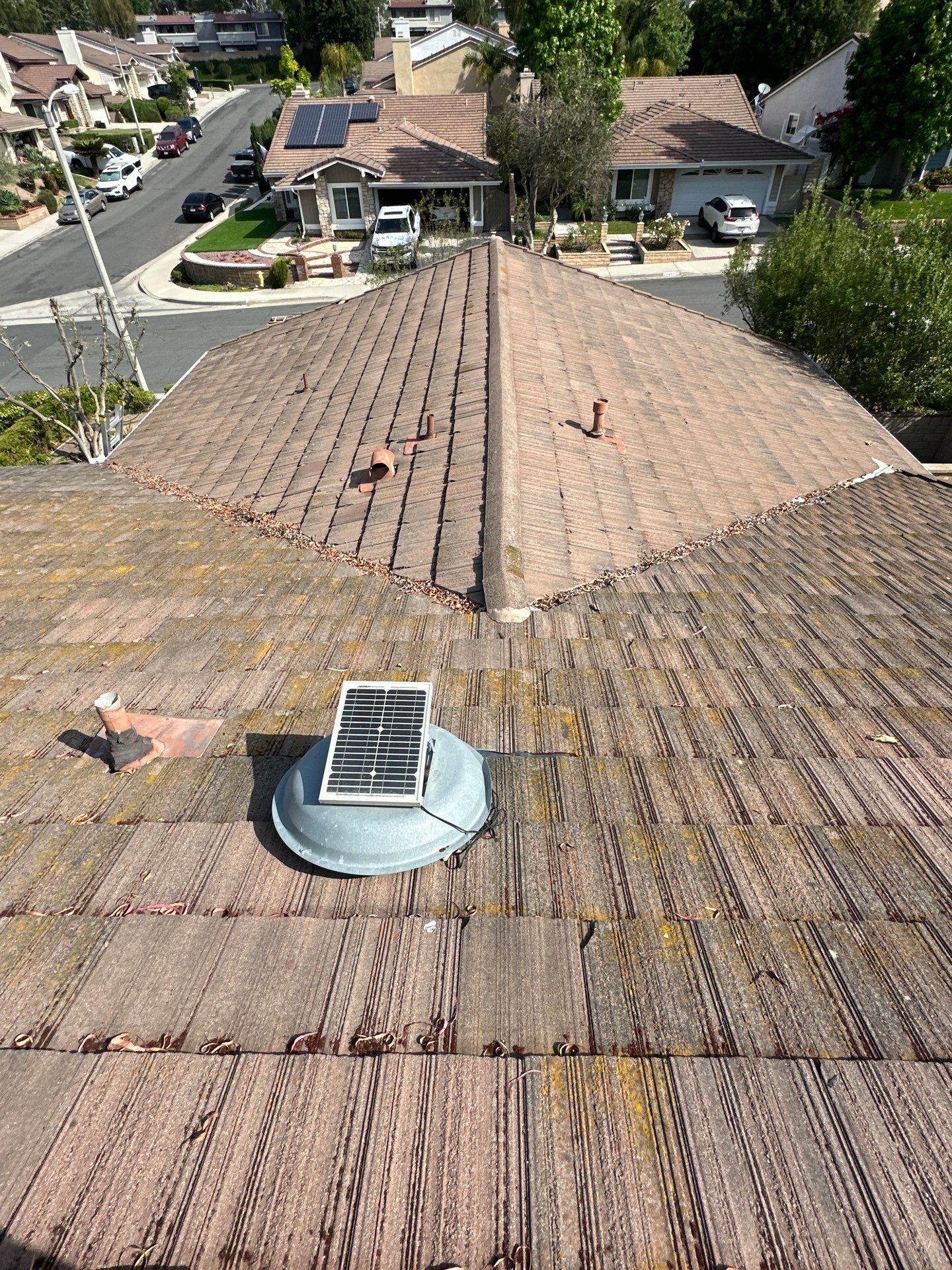 Orange County Roof Washing in Lake Forest by Property Cleaning Experts