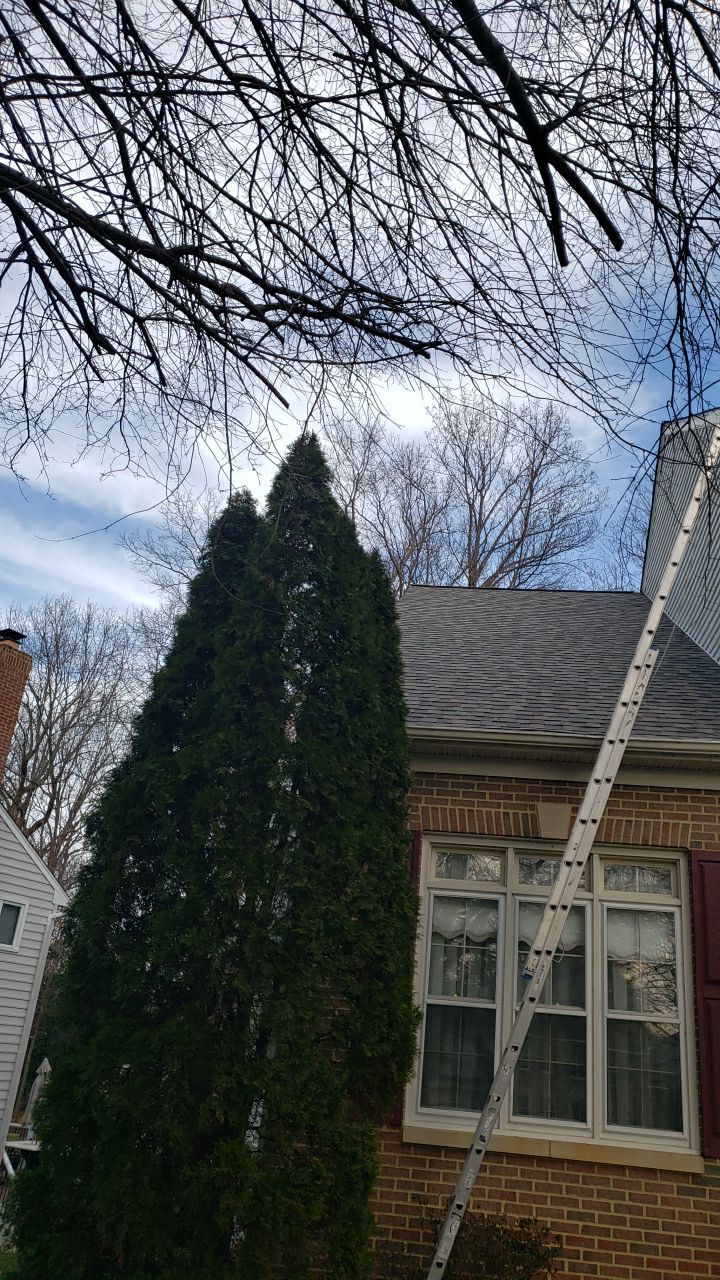 Fairfax Station: CertainTeed Landmark Pro Designer Shingles in Max Def Weathered Wood by RM Banning, Inc.