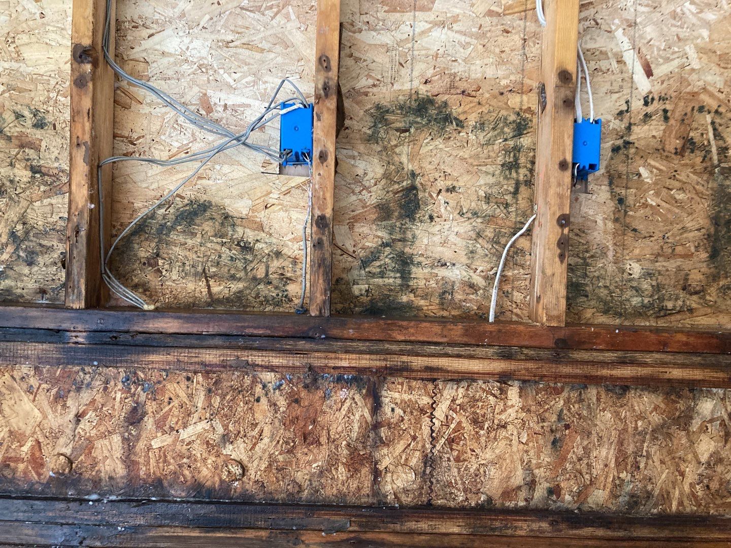 Mold Remediation using Containment by Accountable Home Services