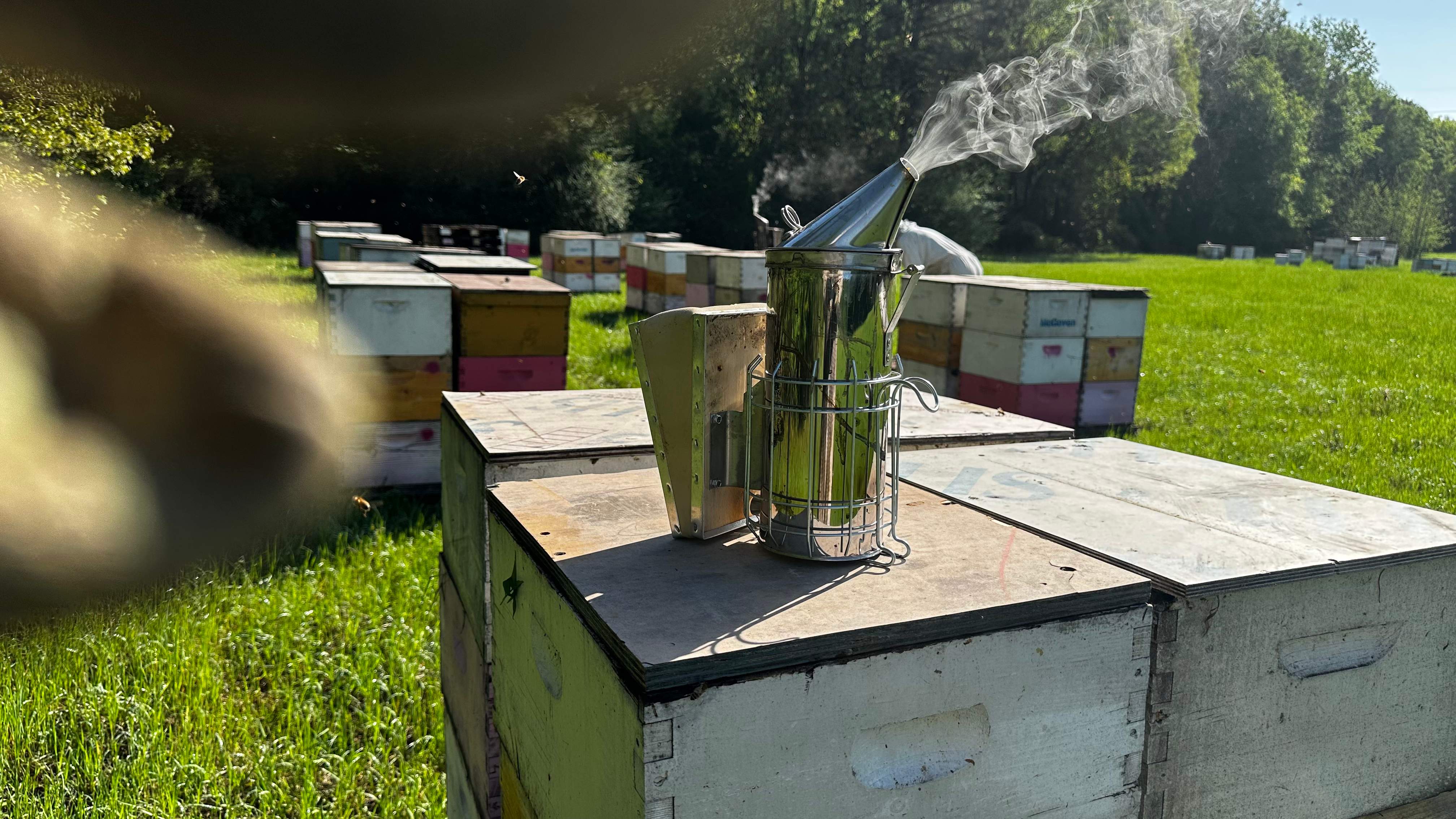 Traylor's Hay Meadow Apiary by Rockwall Honey Bee Company