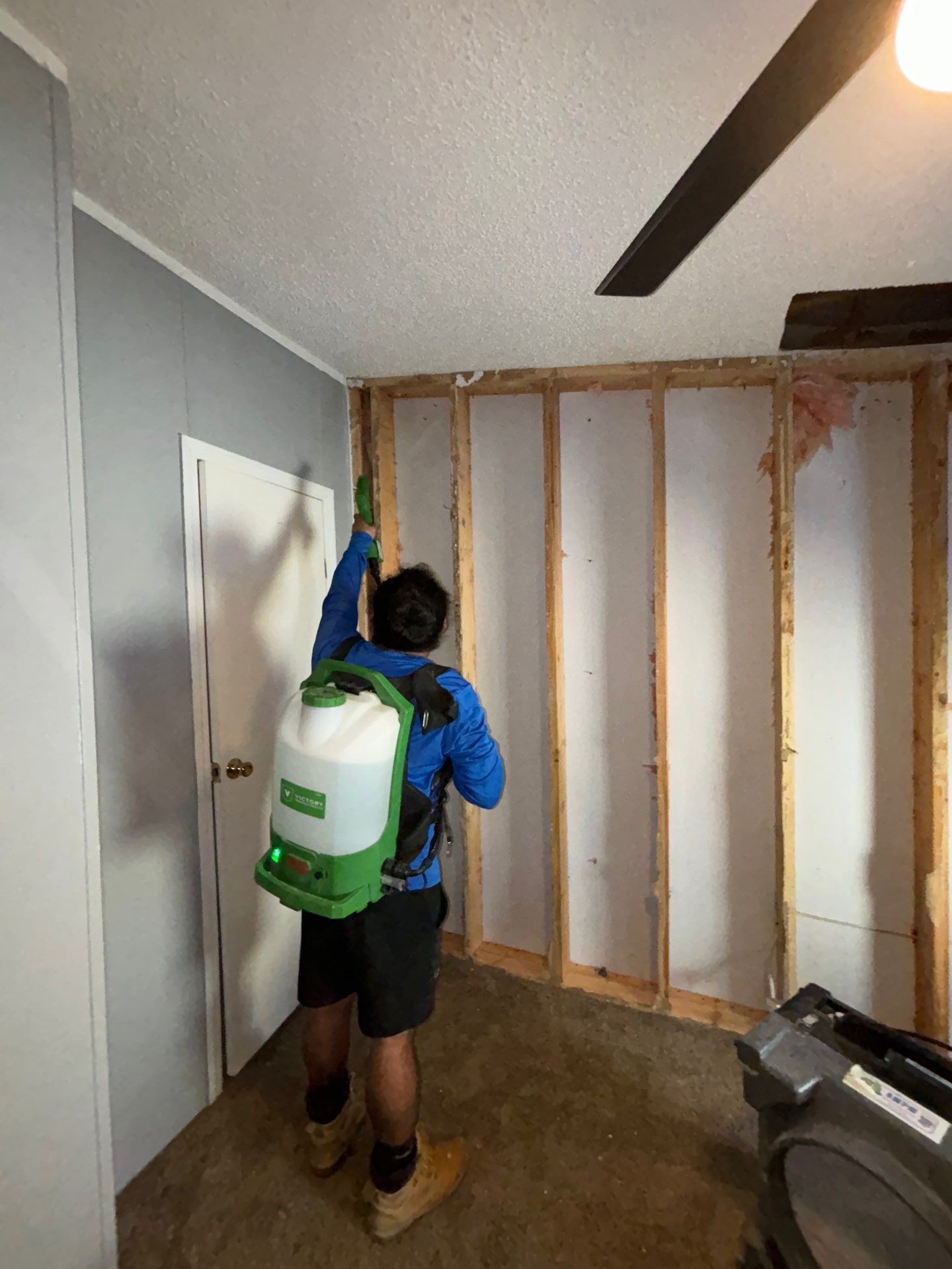 Home Mold Removal by Ampm Restoration Services