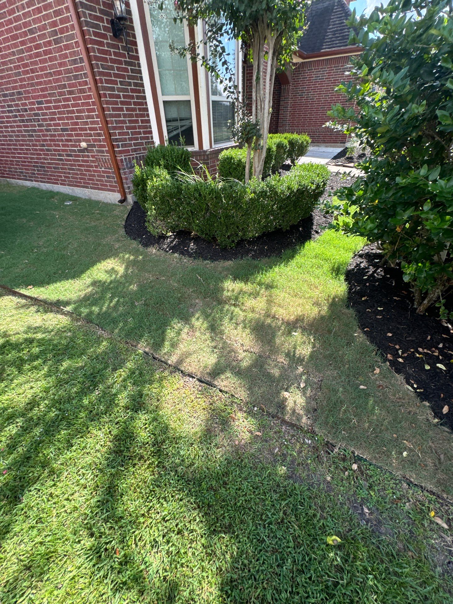 🌿🏡 Project Spotlight: Front Yard Curb Appeal Rescue for Mr. B. Khara by Texas Urban Elements