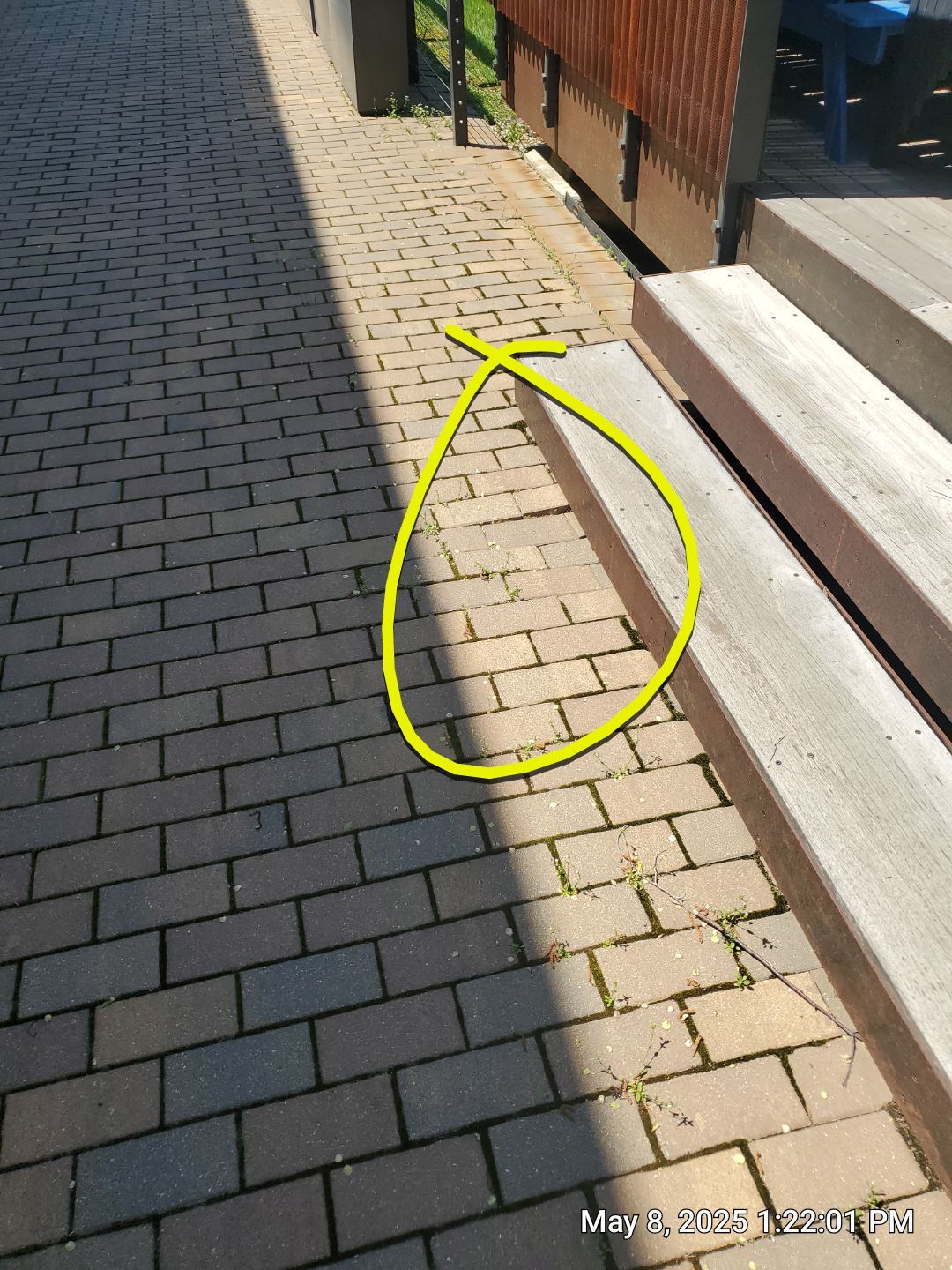 Brick paver repair, cleaning, sealing and poly sanding by Northern Power Washing LLC.