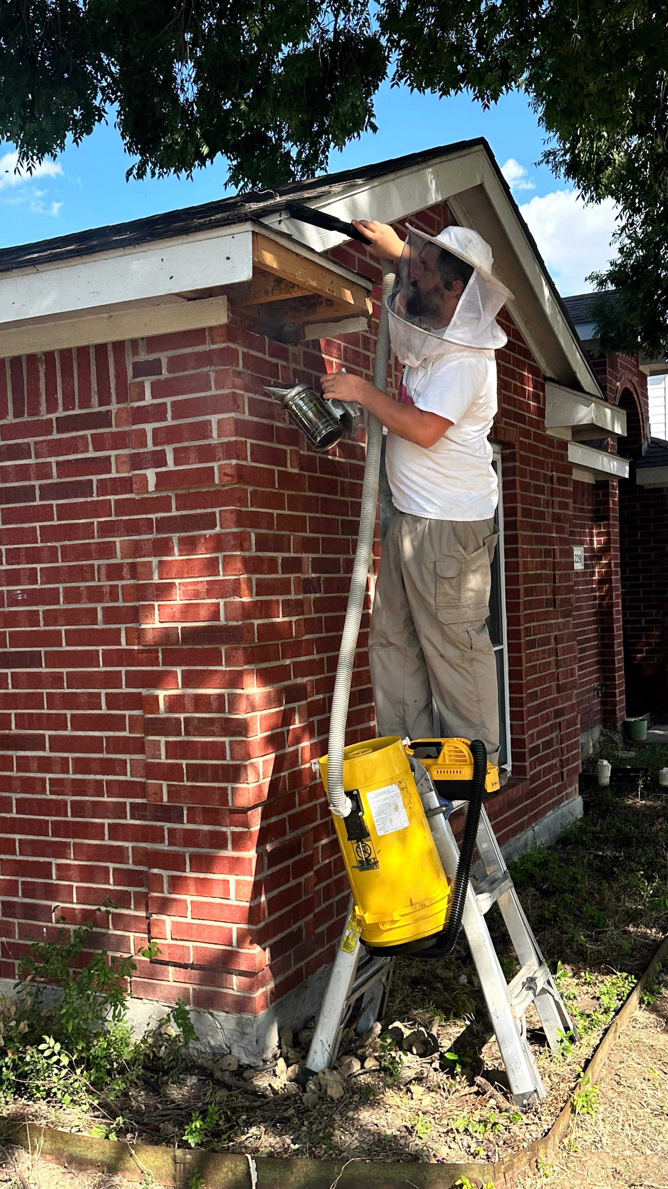 Soffits! by Rockwall Honey Bee Company
