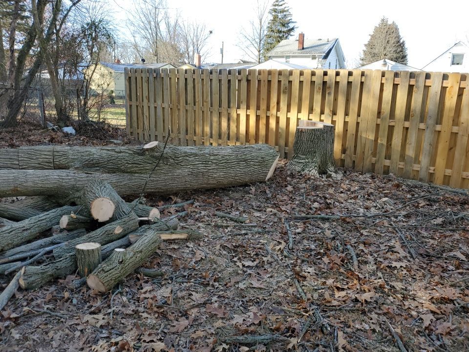 Tree Removal using Tree Removal by Mike Jones & Sons Tree Service LLC 