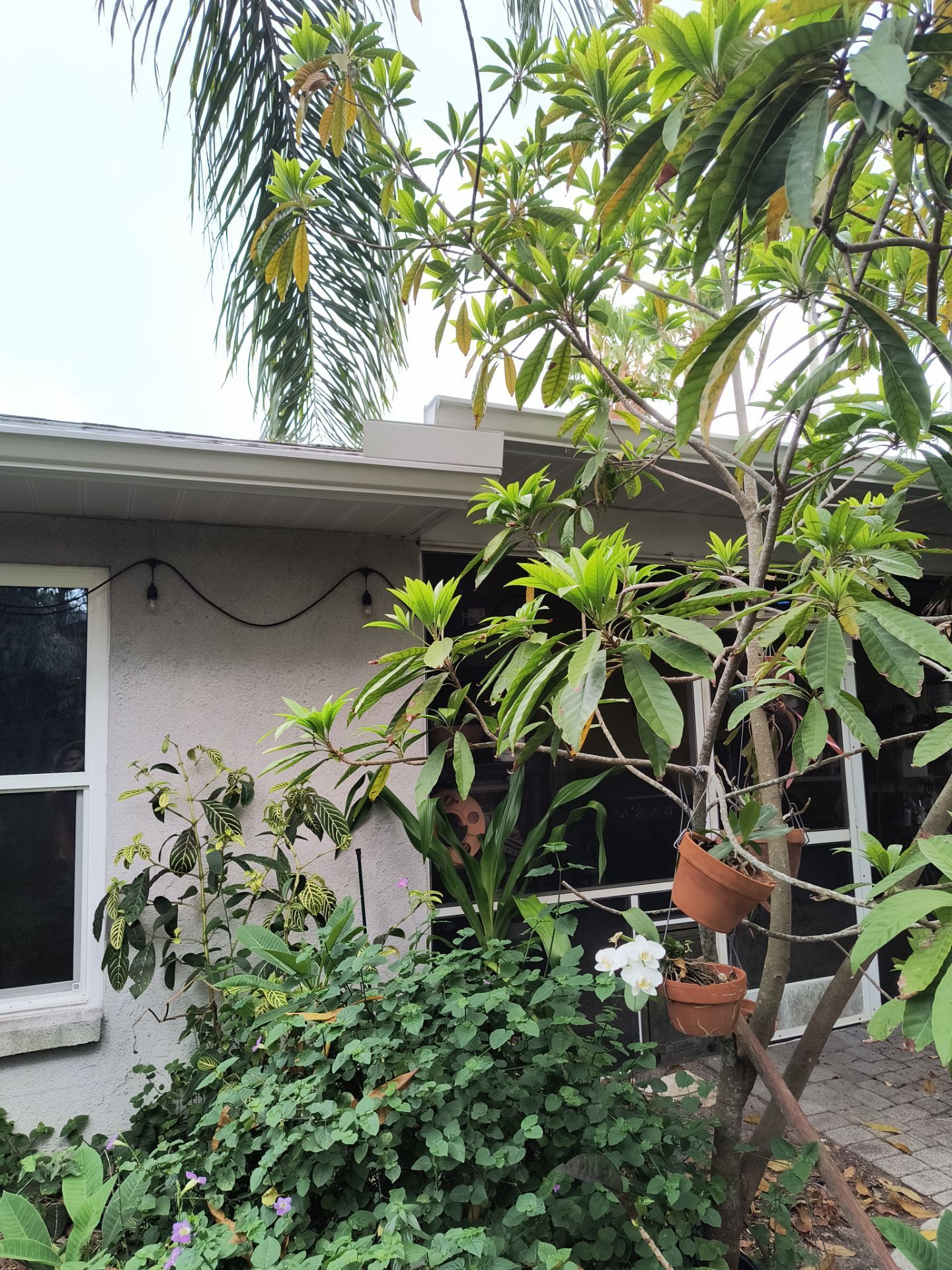 White 6-Inch Seamless Gutters in Sarasota FL by Gutter Professors
