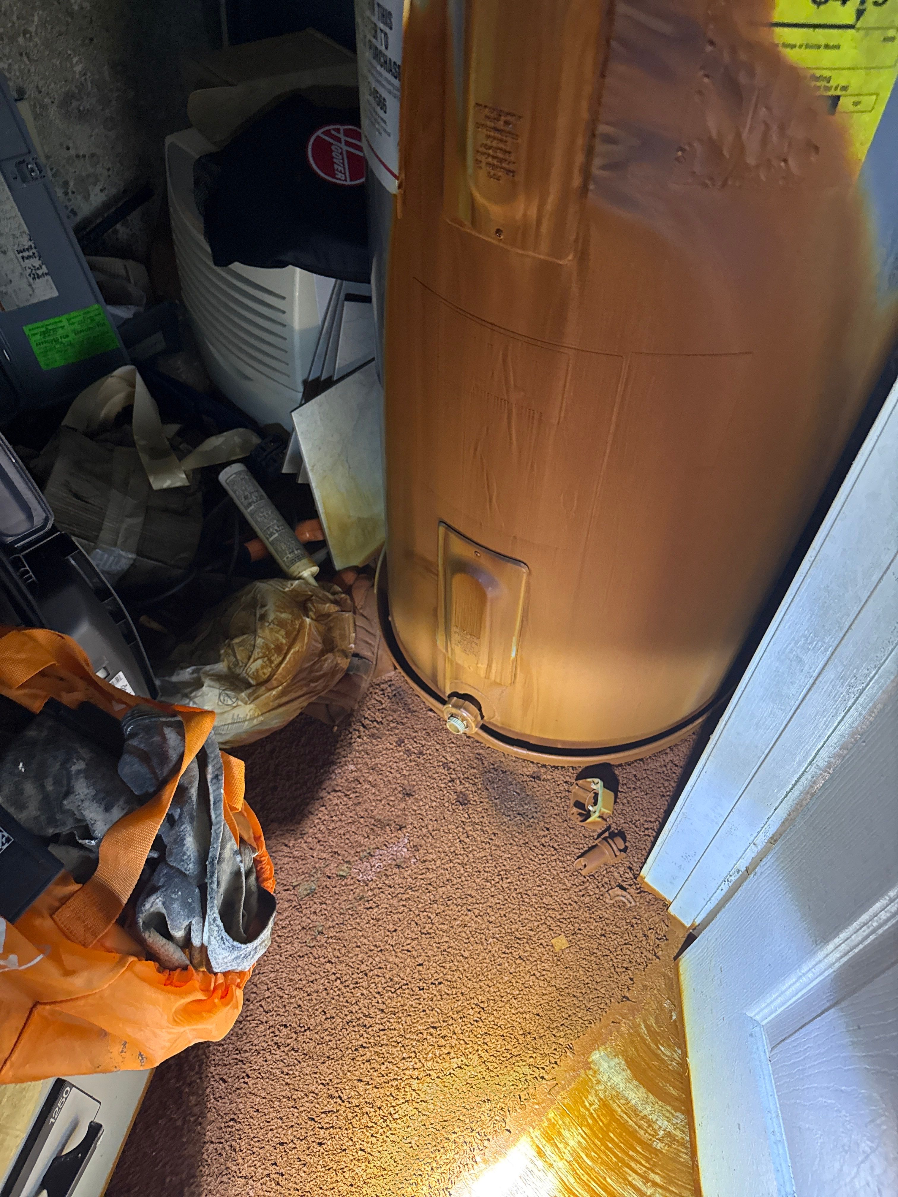 Water Damage& Mold Remediation Project-Dover, DE. by Healthy Home Solutions