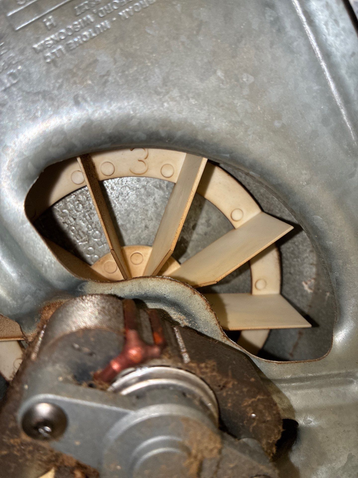 Air Duct Bath Fan Cleaning in Clermont by Hygienic Air, Inc