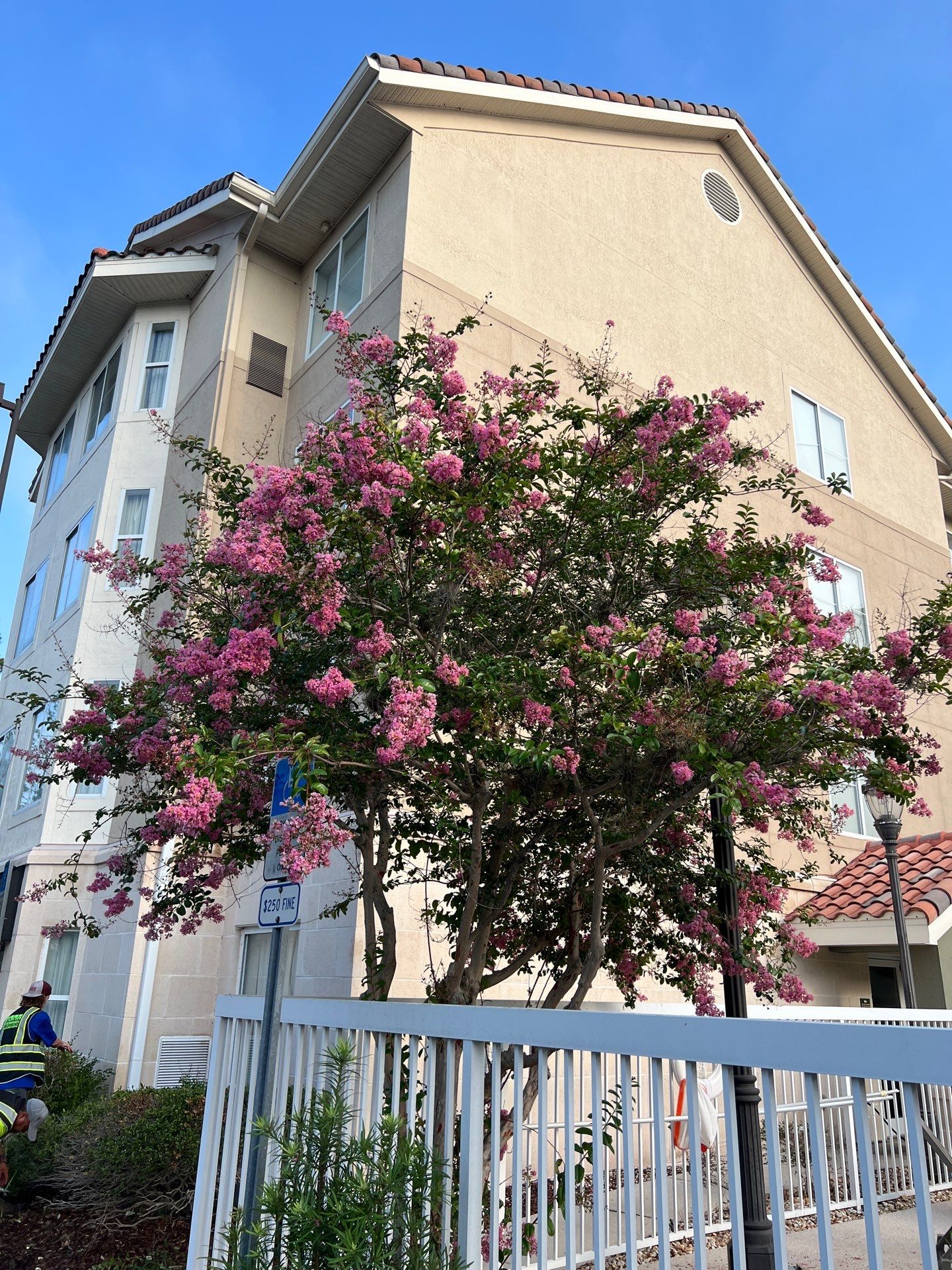 Homewood Suites | Tree Service by ProGreen Services