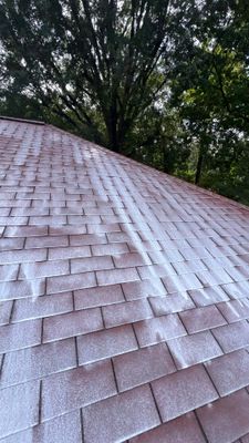 Project in Richmond