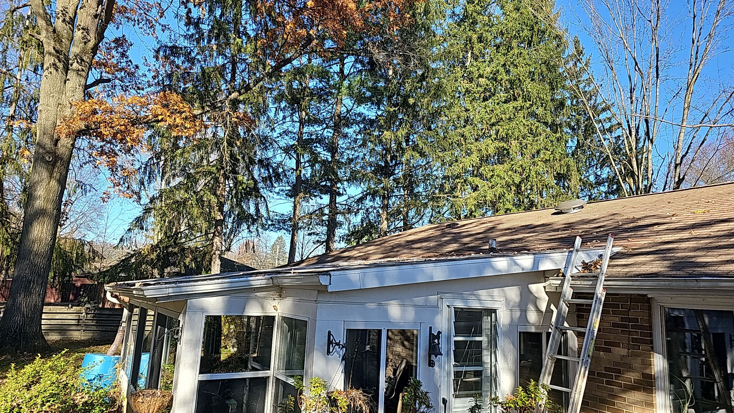 Atlas Pinnacle, Color, Black Shadow, Drip Edge, Color, Black by Eagle Eye Roofing