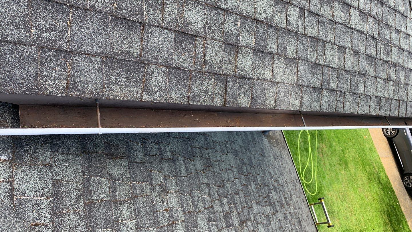 Softwashed in many Years back, and organic regrowth significant by DawnSky LLC