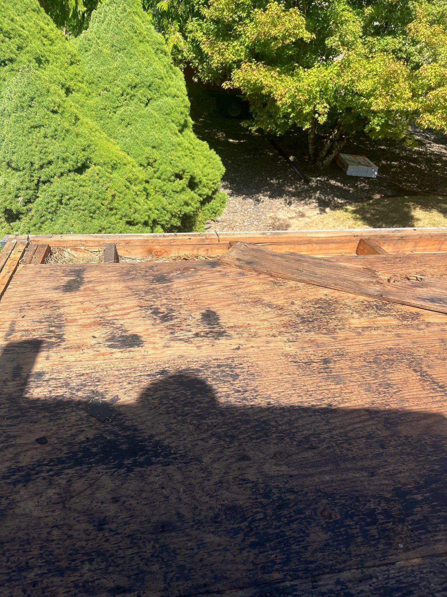 Project in Lake Oswego by Tom Leach Roofing