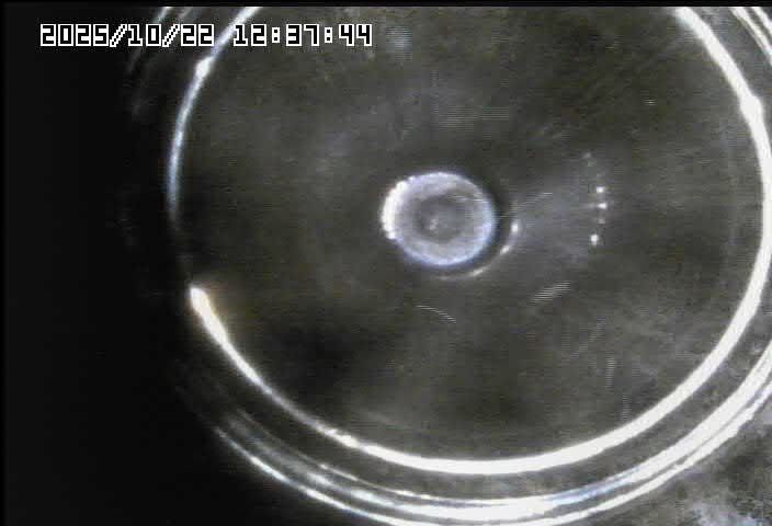 Wood Burning Fireplace Installed in 2015 by Premier Chimney and Roofing