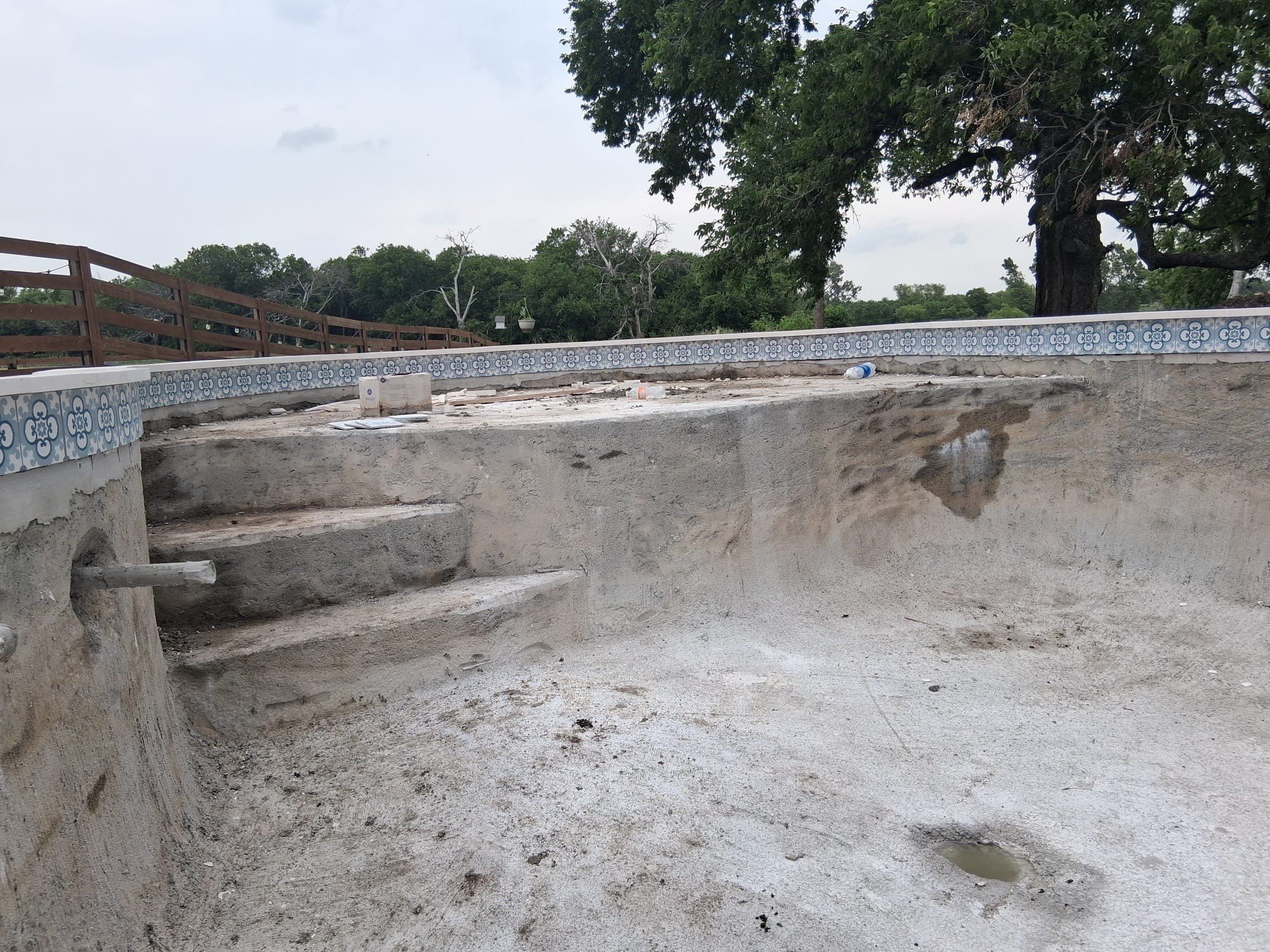 Freeform Pool with Tanning Ledge by Pinnacle Pools and Spas - DFW