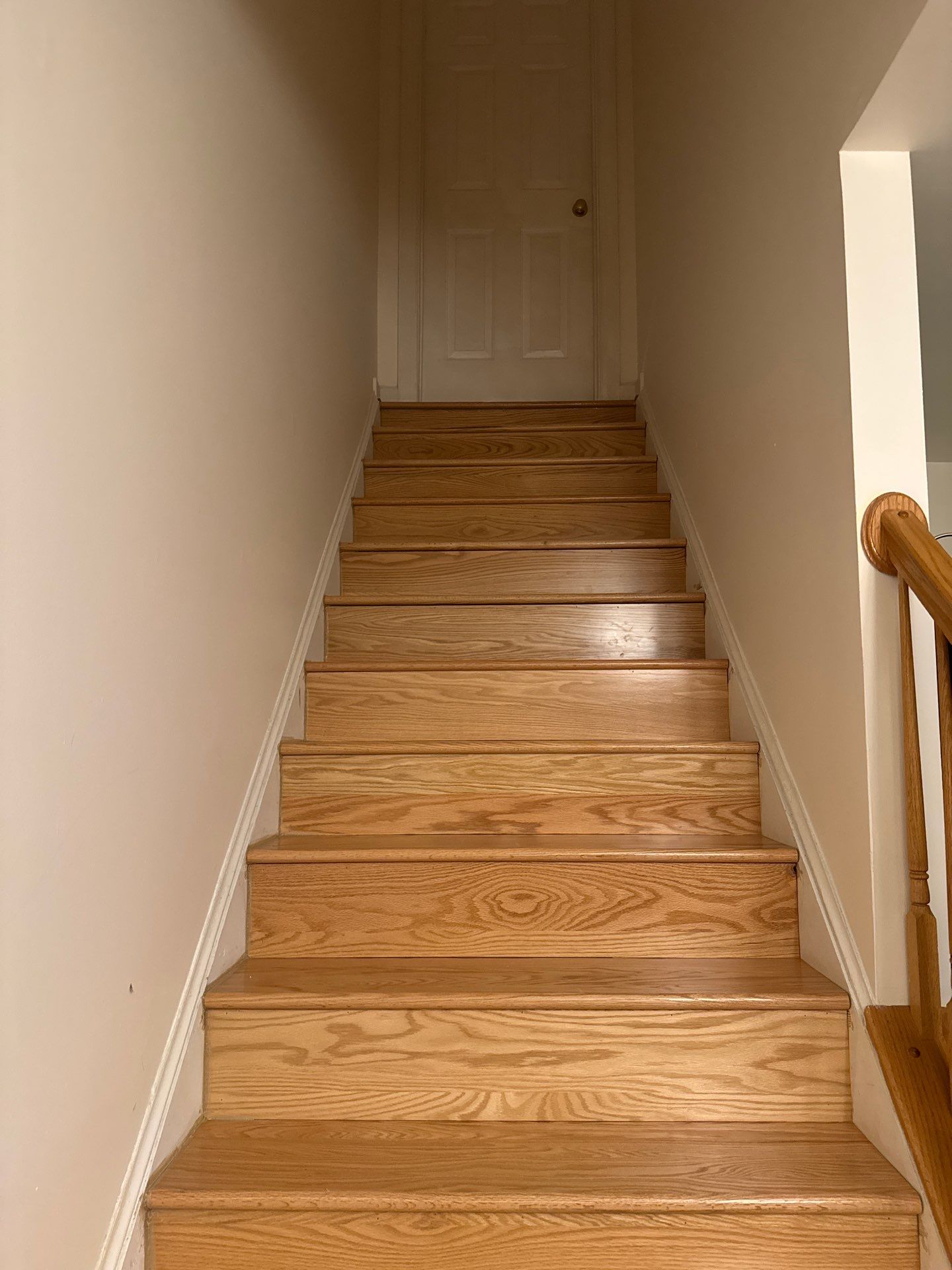 New Gutters, New Floor, New steps, New Paint job by Alpha Design Services