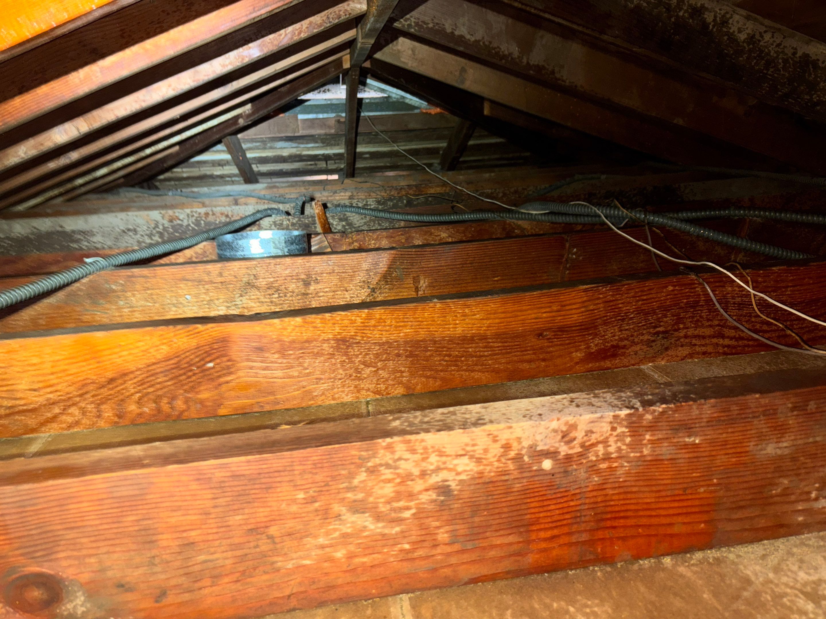 Project in Northridge by Insulation Labs