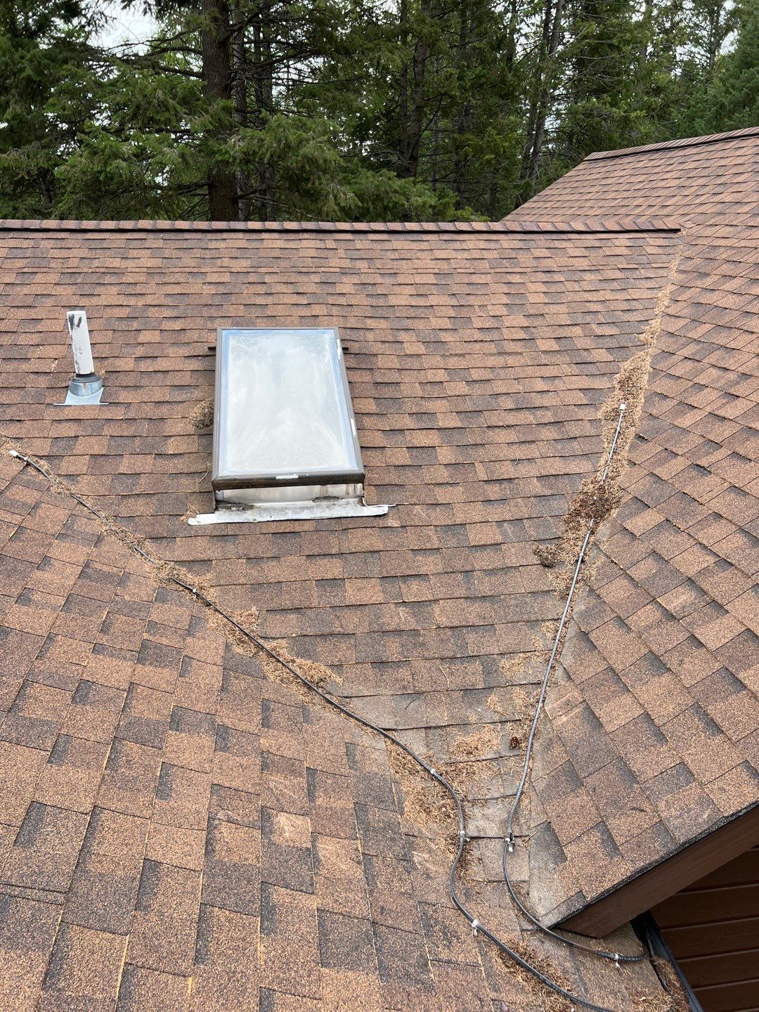 GAF Timberline HDZ - Hunter Green by Montana Roofing Solutions