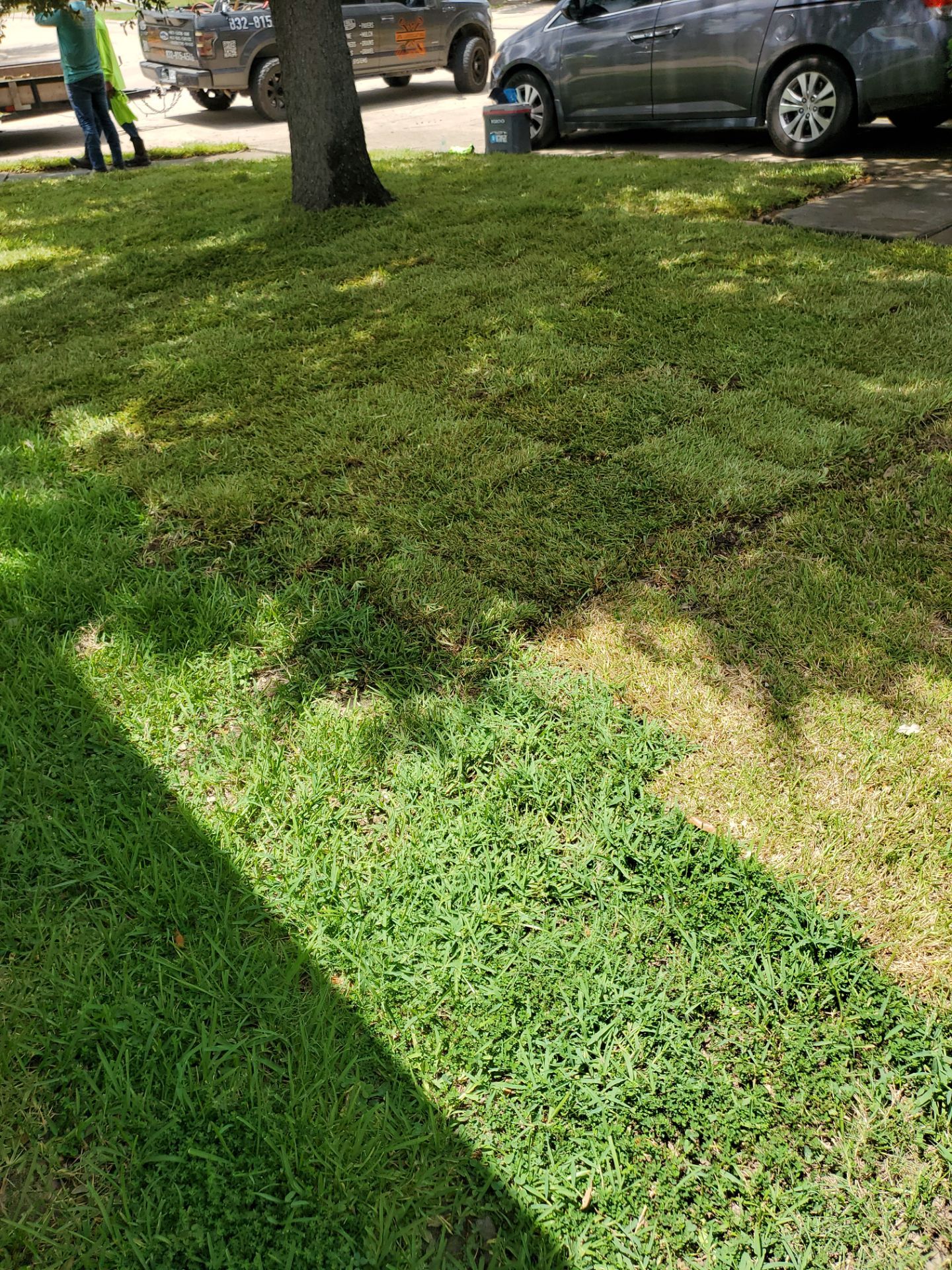Sandra — Front & Backyard Leveling, Drainage, and Sod Transformation by Texas Urban Elements