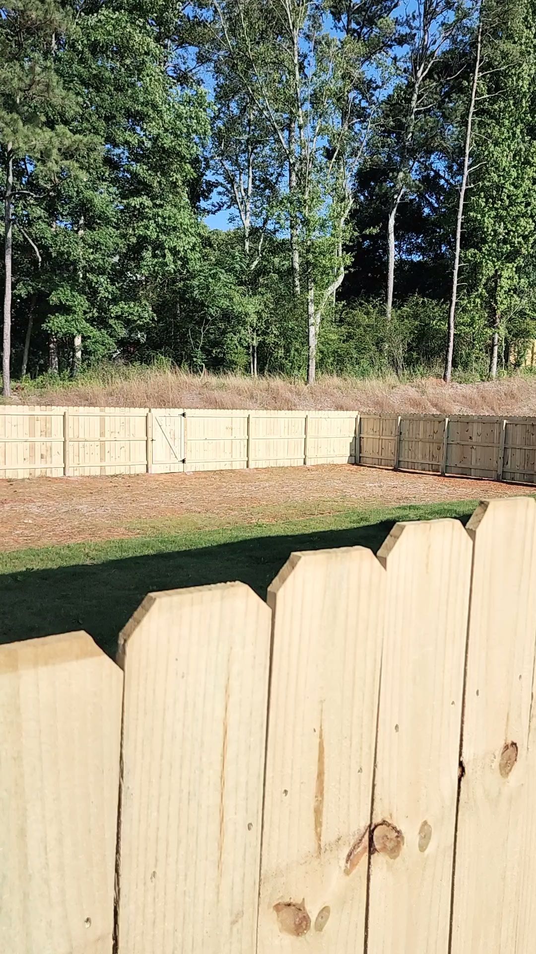 6' Wood Privacy with Dog Eared Pickets by Titans of Timber Fence & Stain