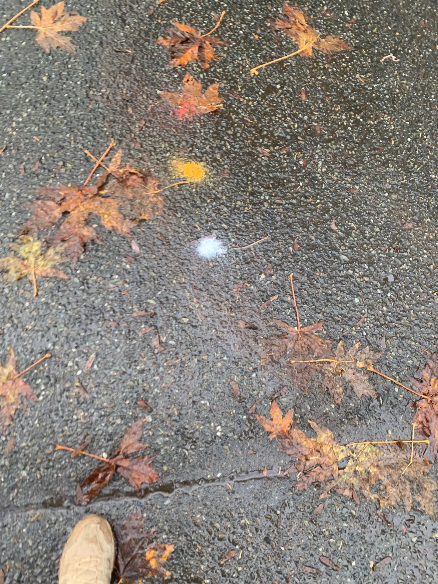 Asphalt Driveway Repair | Woodinville  by Jireh Asphalt & Concrete Inc 