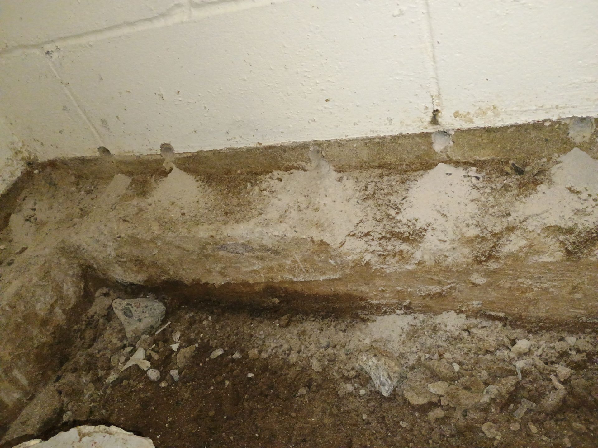 Helping Our Neighbor Gail by Waterproofing Northeast