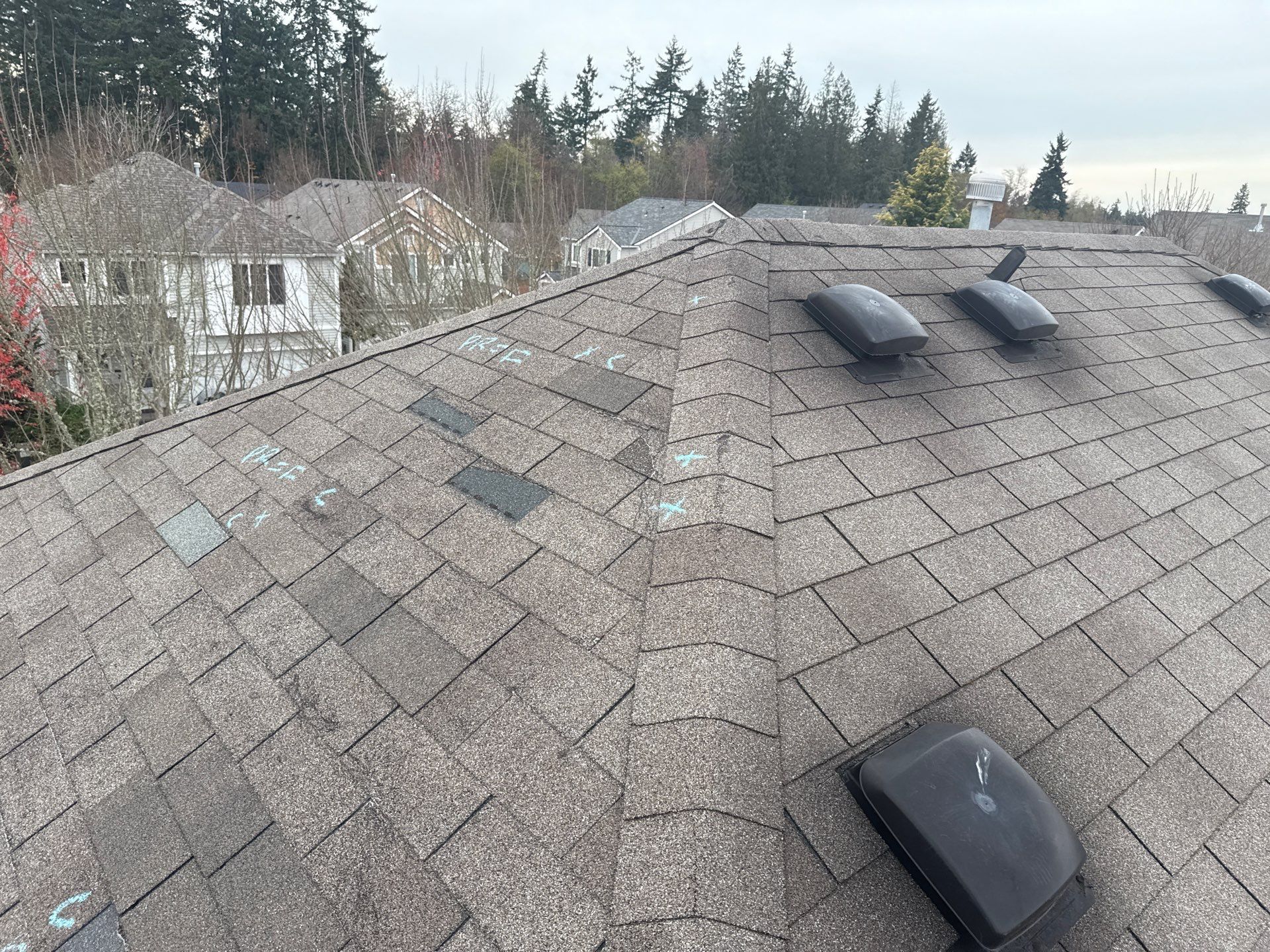 GAF Timberline NS, Pewter Gray  by Proline Roofing & Restoration LLC