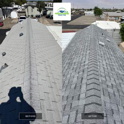 Silver Birch Shingles