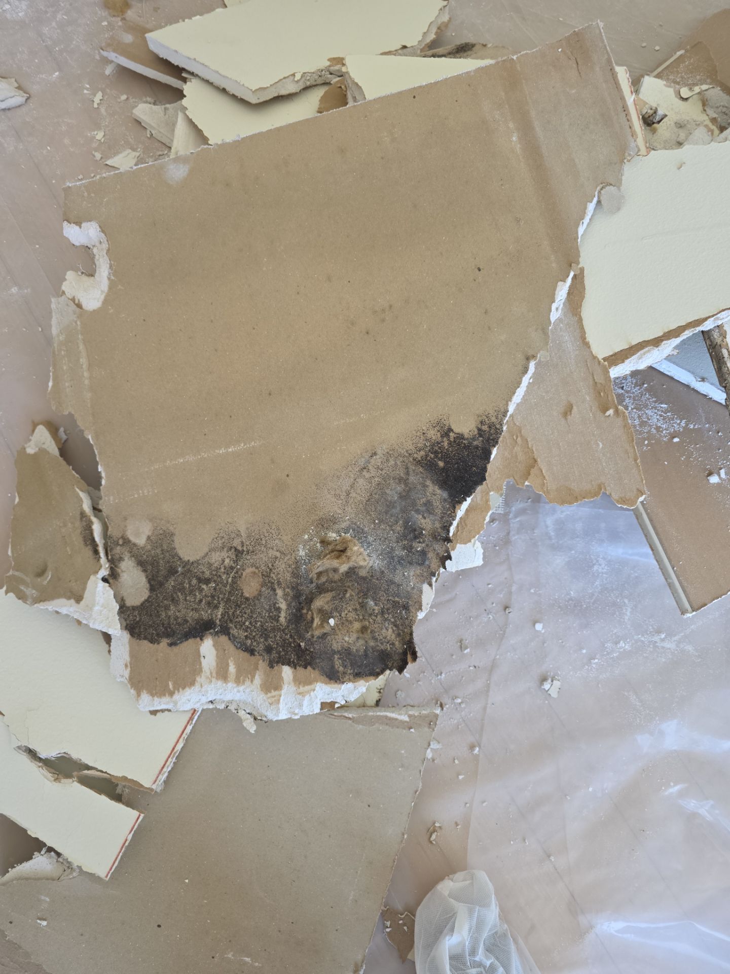 Marina Del Rey – Asbestos Drywall Removal & Flood Damage Abatement by Ramirez Demolition Services Inc
