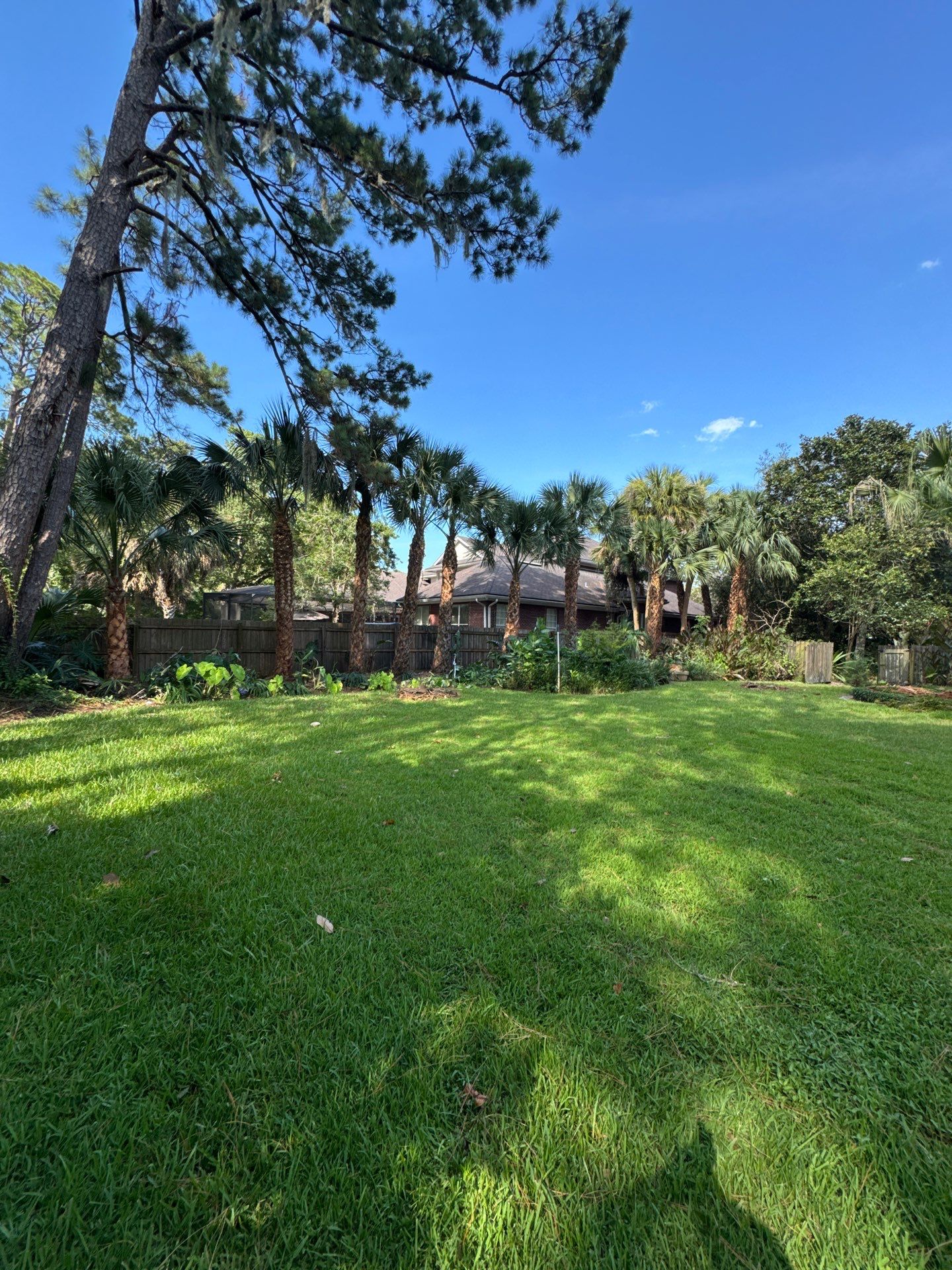Deerwood Resident | Palm Tree Trimming & Booting by ProGreen Services
