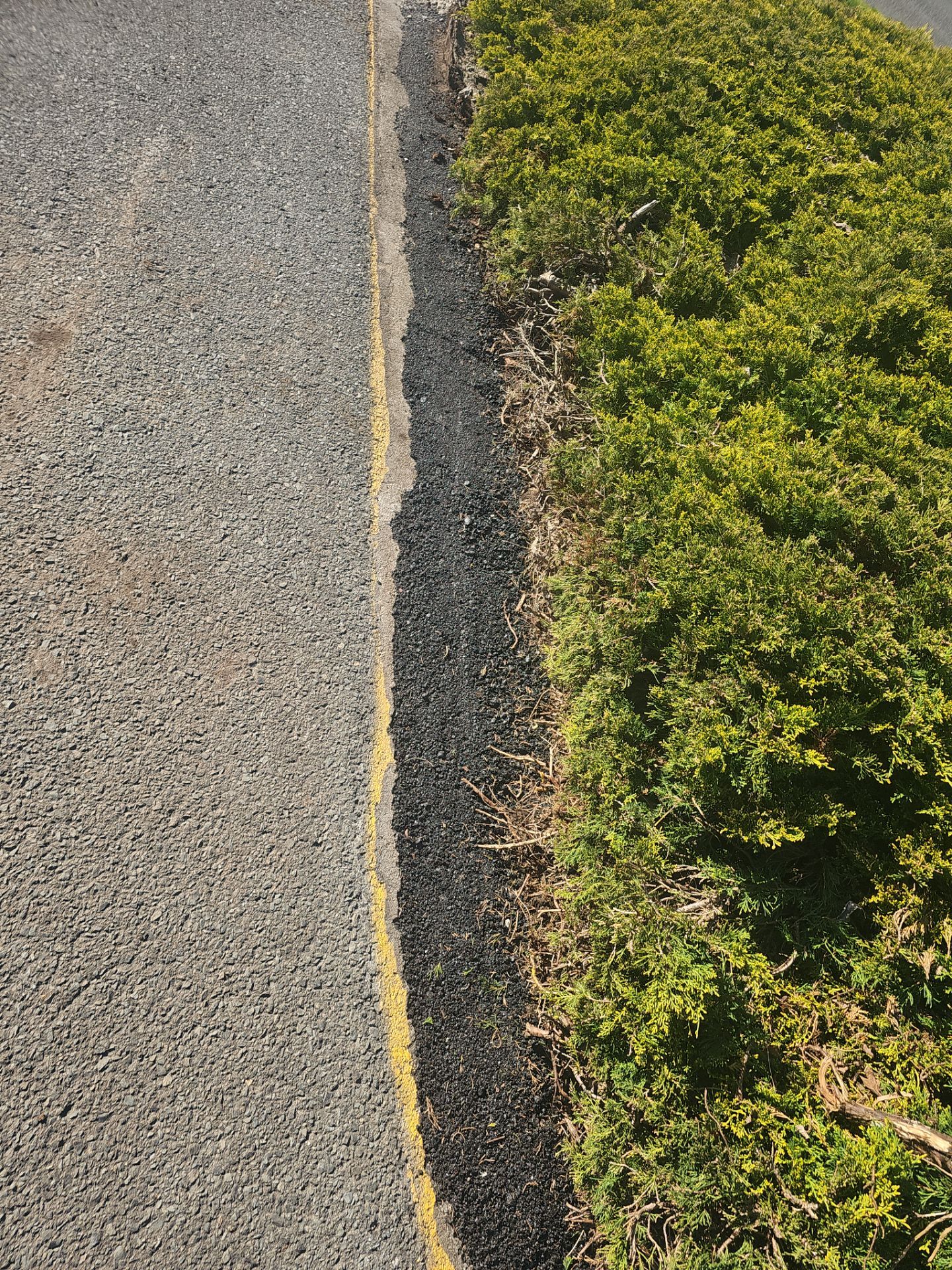 Asphalt Patch Repairs | Mountlake Terrace by Jireh Asphalt & Concrete Inc 