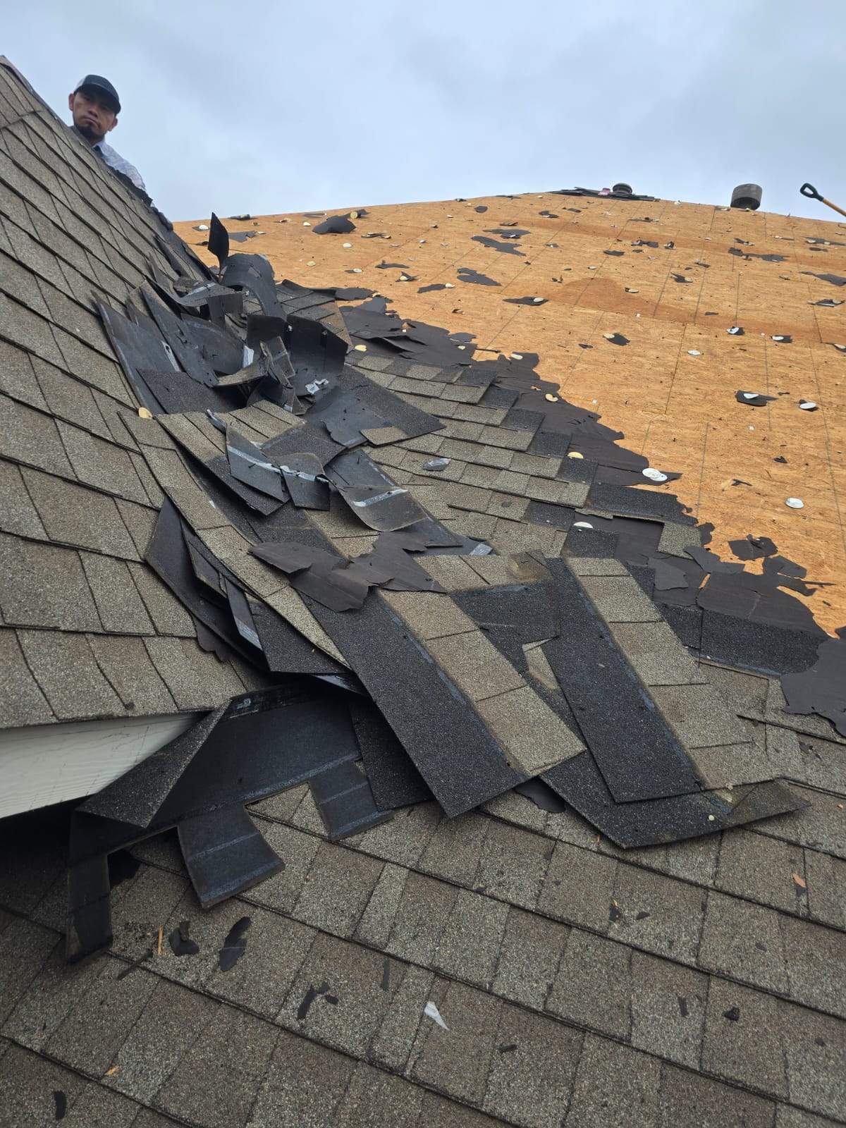 Asphalt Shingle Roof Replacement and Storm Damage Restoration in Austin by Caliber Restoration LLC