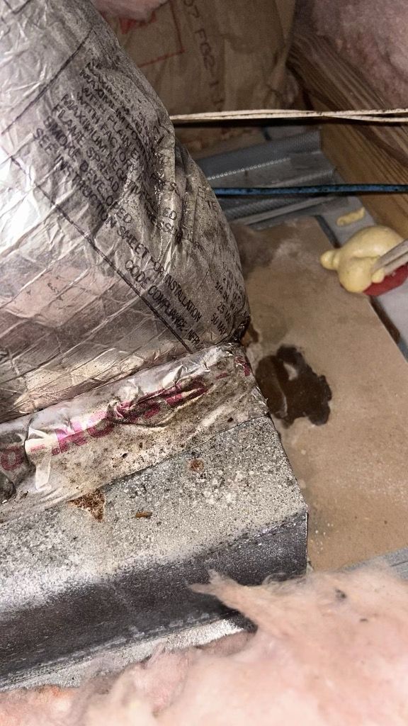 Nokomis Mold Remediation by Ampm Restoration Services