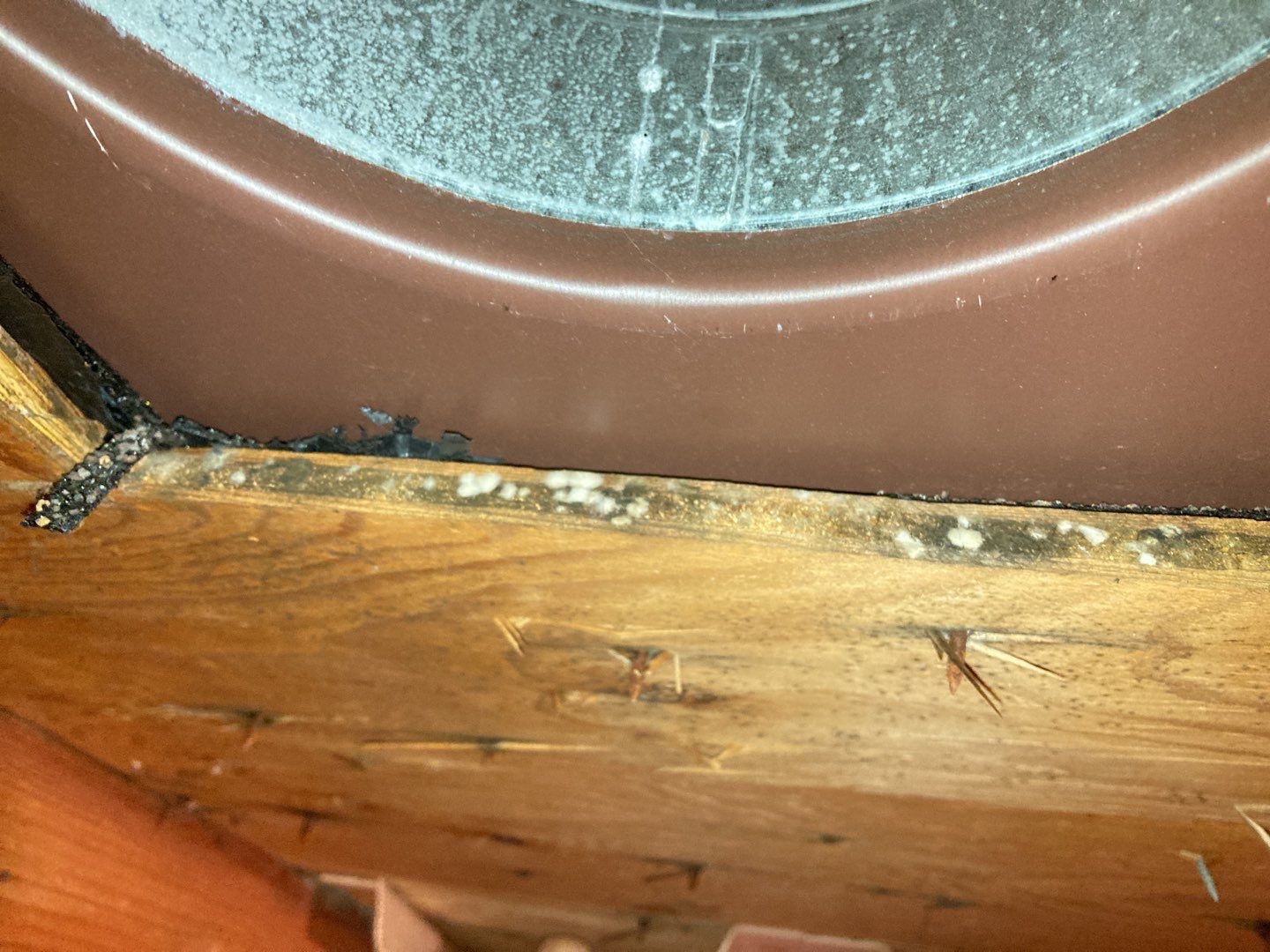 Mold Remediation in Attic by Accountable Home Services