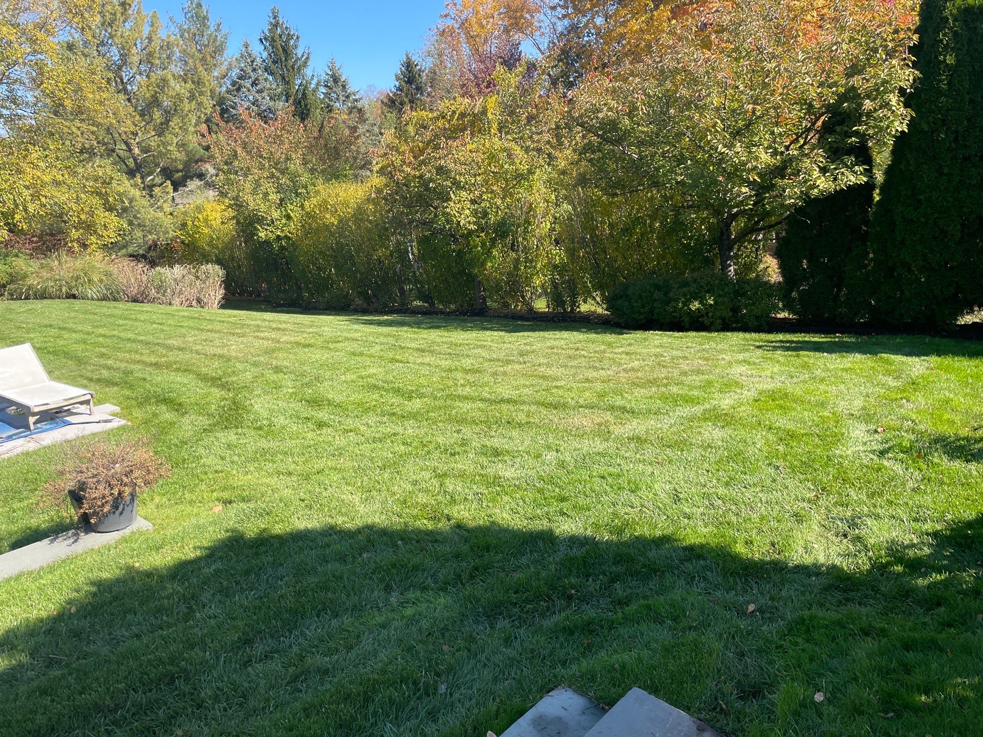Comprehensive Lawn Care in Warren by Ants Plants