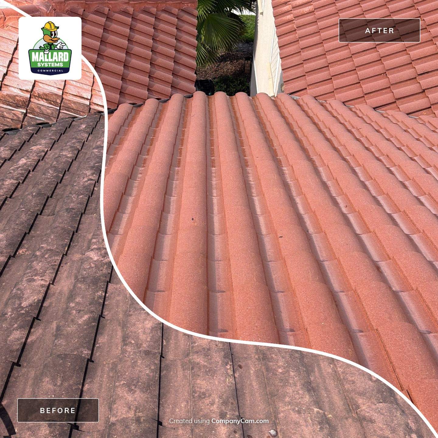 Professional Tile Roof Cleaning in Longwood by Mallard Systems