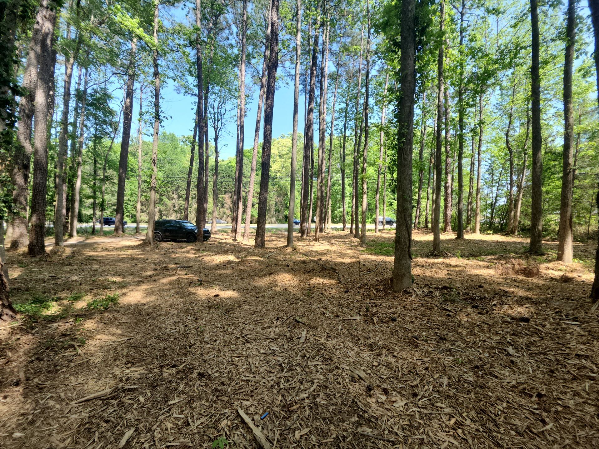 Project in Fayetteville, GA by Task Masters Handyman Services, LLC