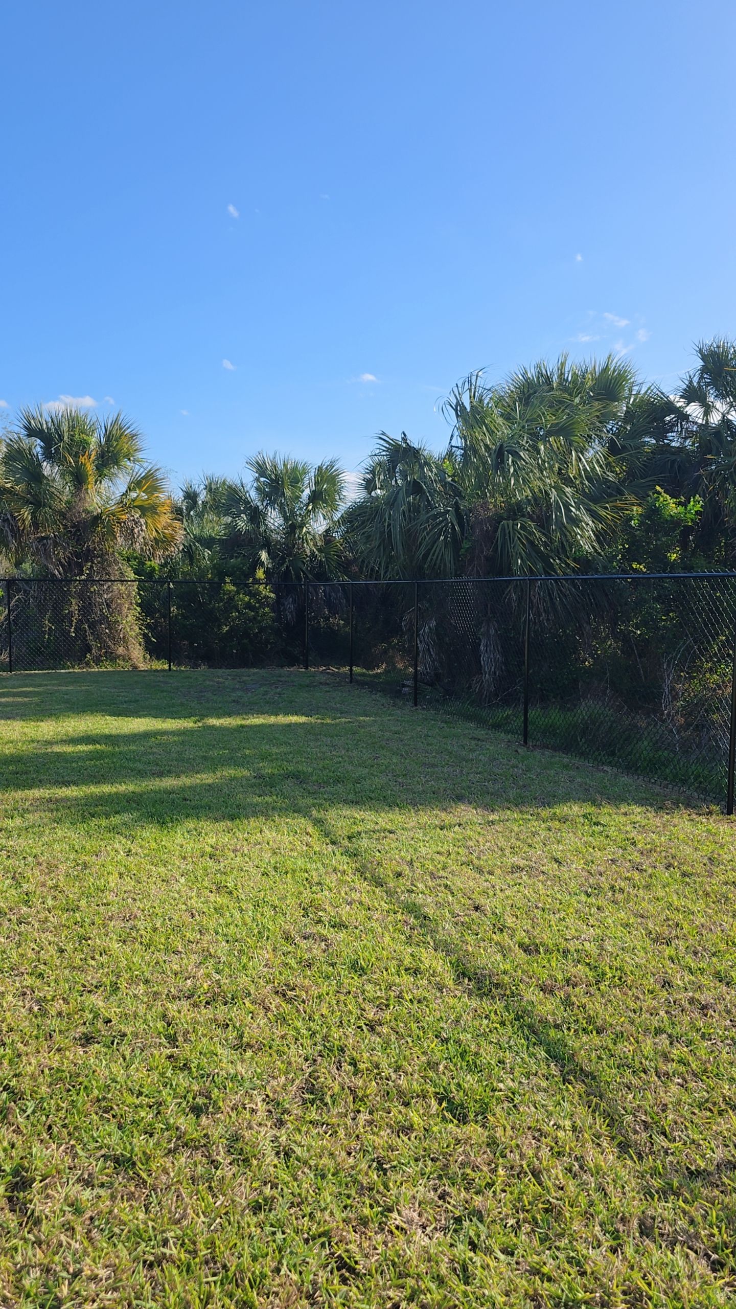 Chain Link Fence in Lehigh Acres by True Fence LLC