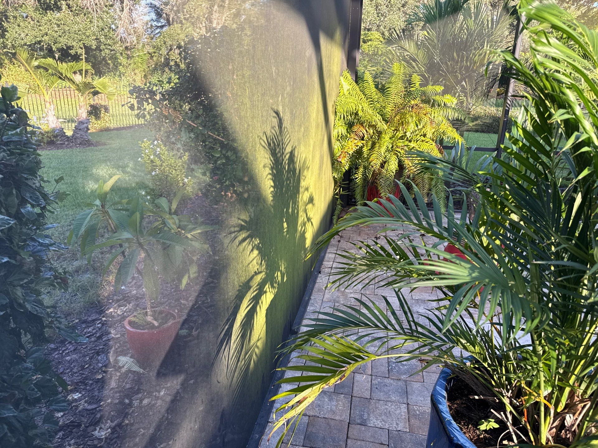 Pool Cage Cleaning | Rye Wilderness, Bradenton FL by Sunshine AquaWash