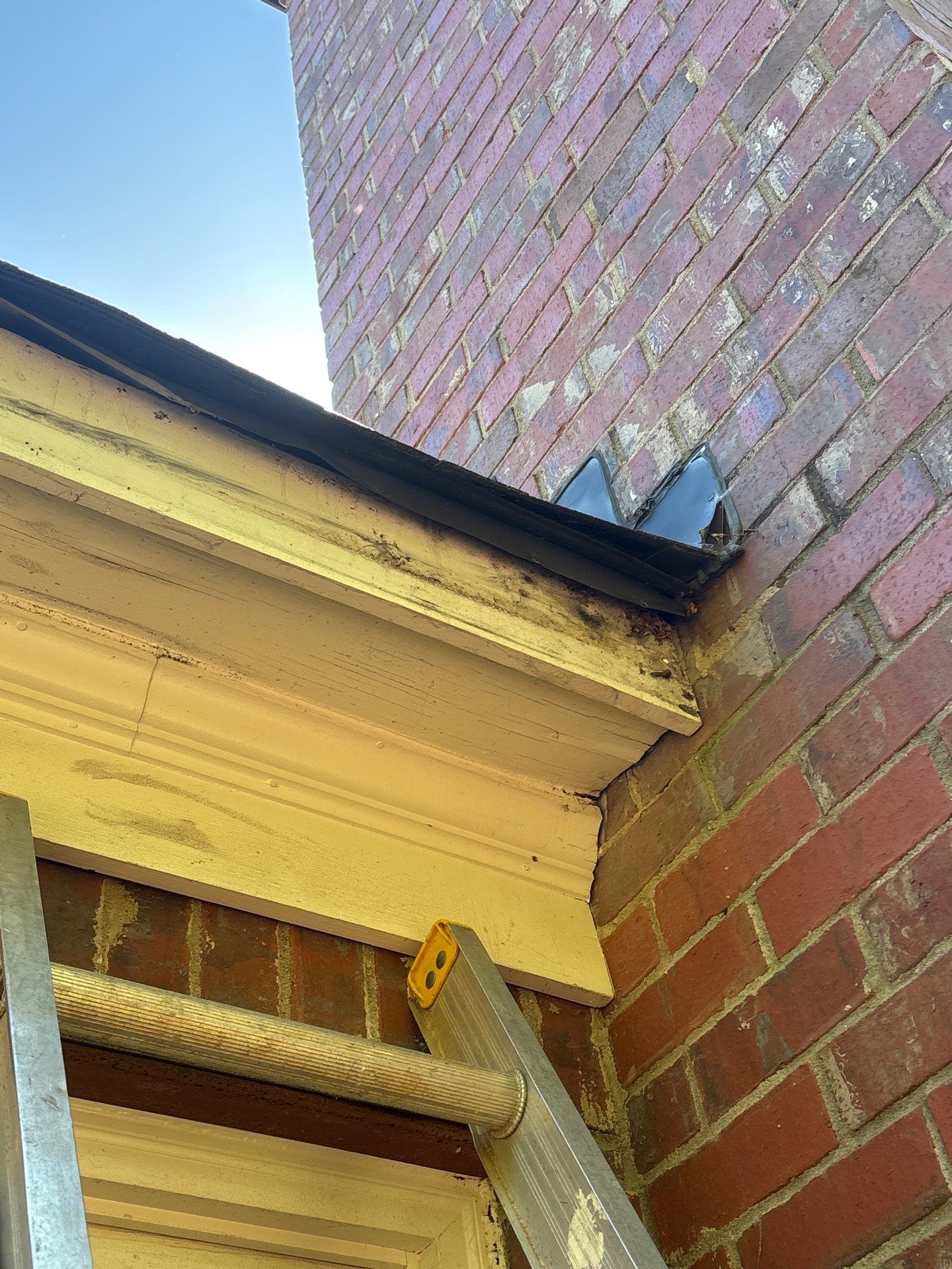 Rotten Wood Replacement, Exterior Paint, and Gutter Replacement by Nelson Exteriors 